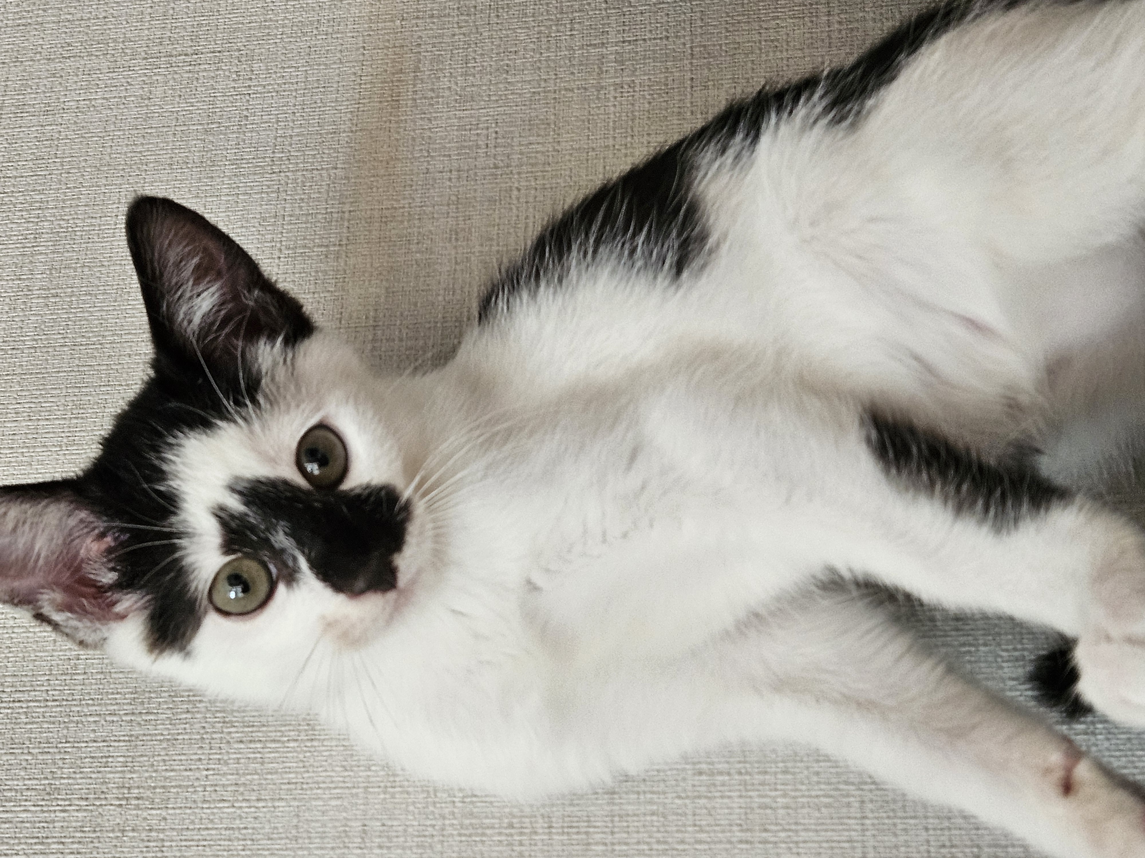 KakaoTalk_20240819_150850910_01.jpg
