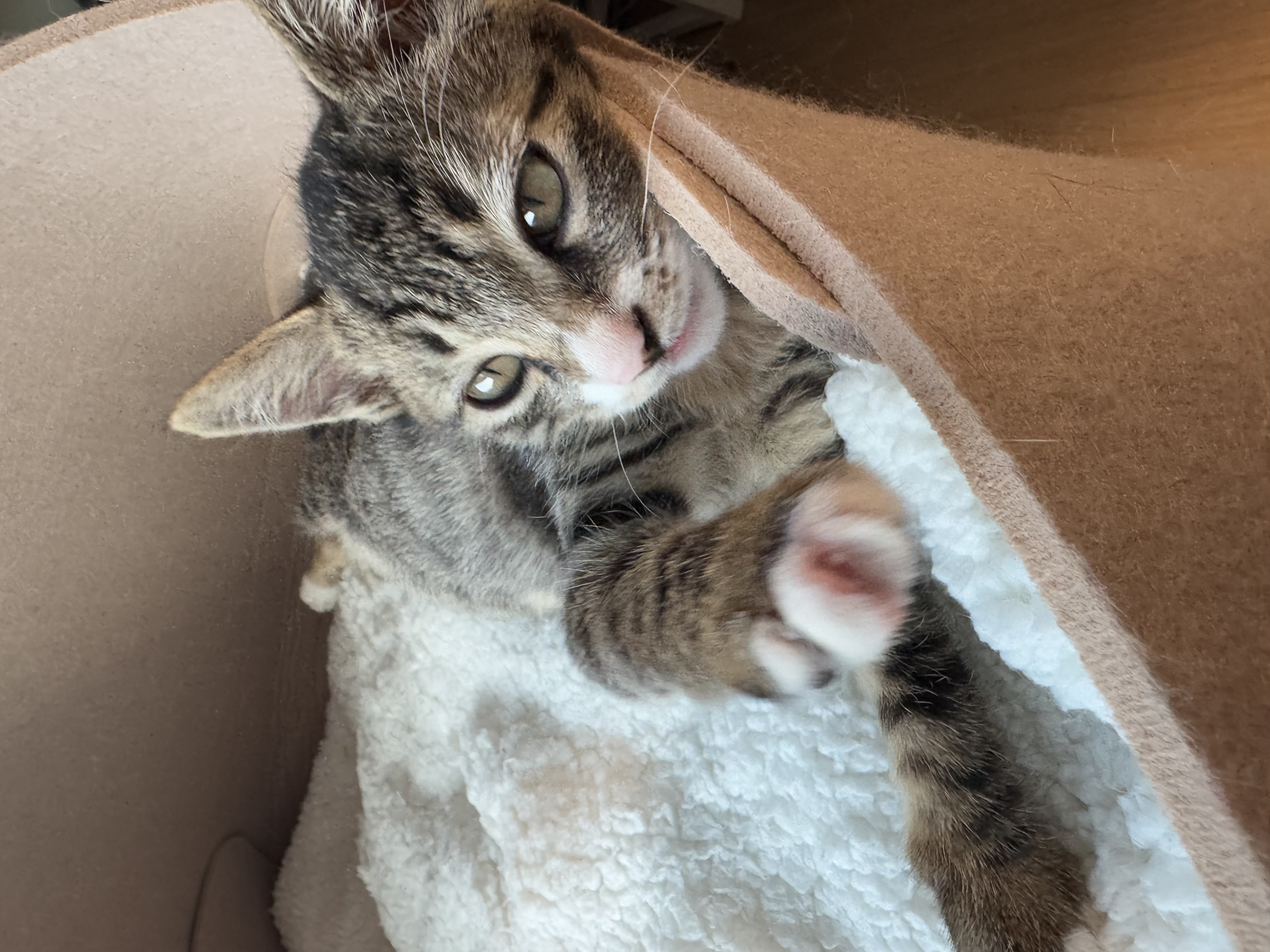 KakaoTalk_Photo_2025-11-24-19-10-32 030.jpeg