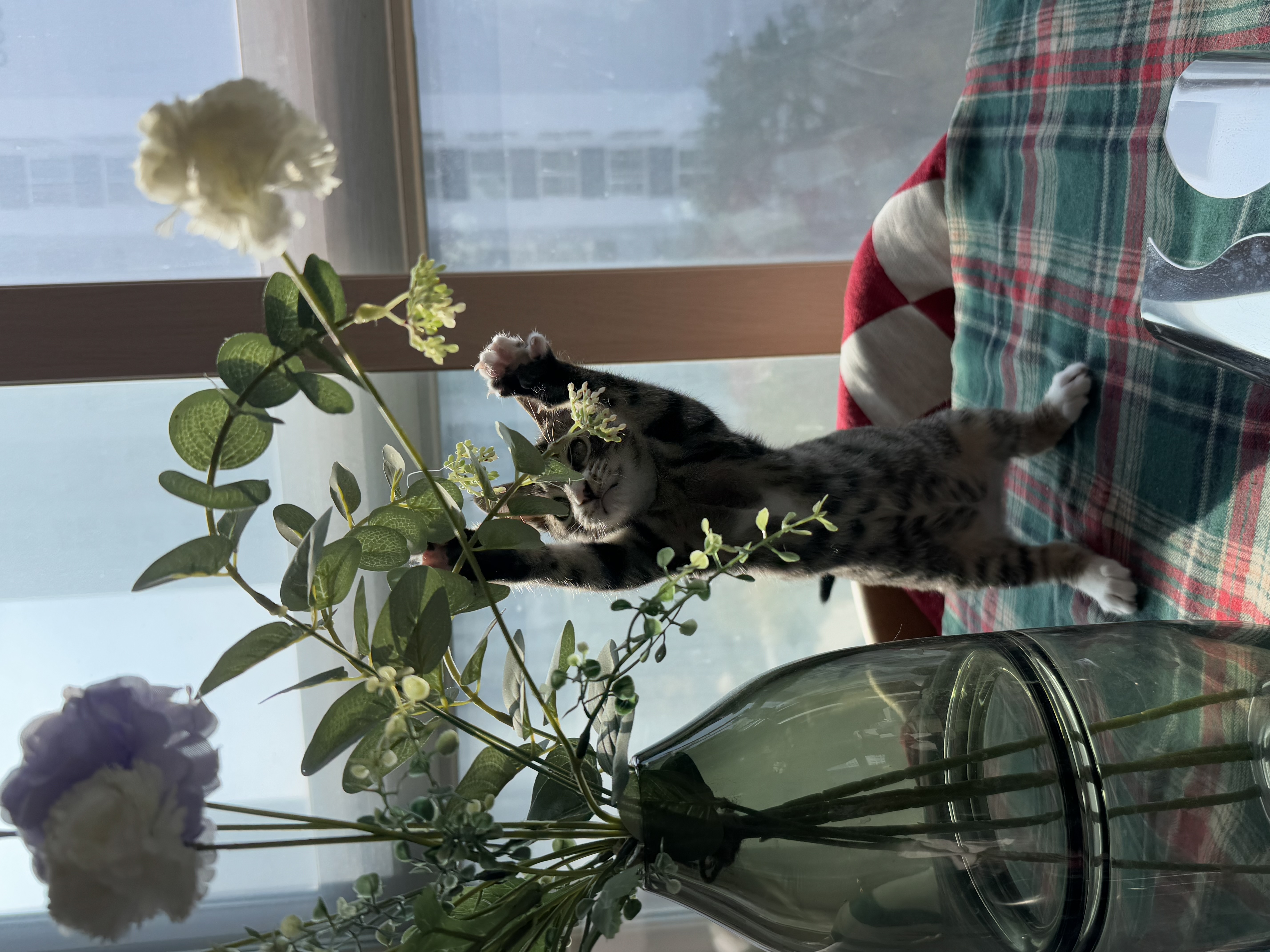 KakaoTalk_Photo_2025-11-24-19-10-30 022.jpeg