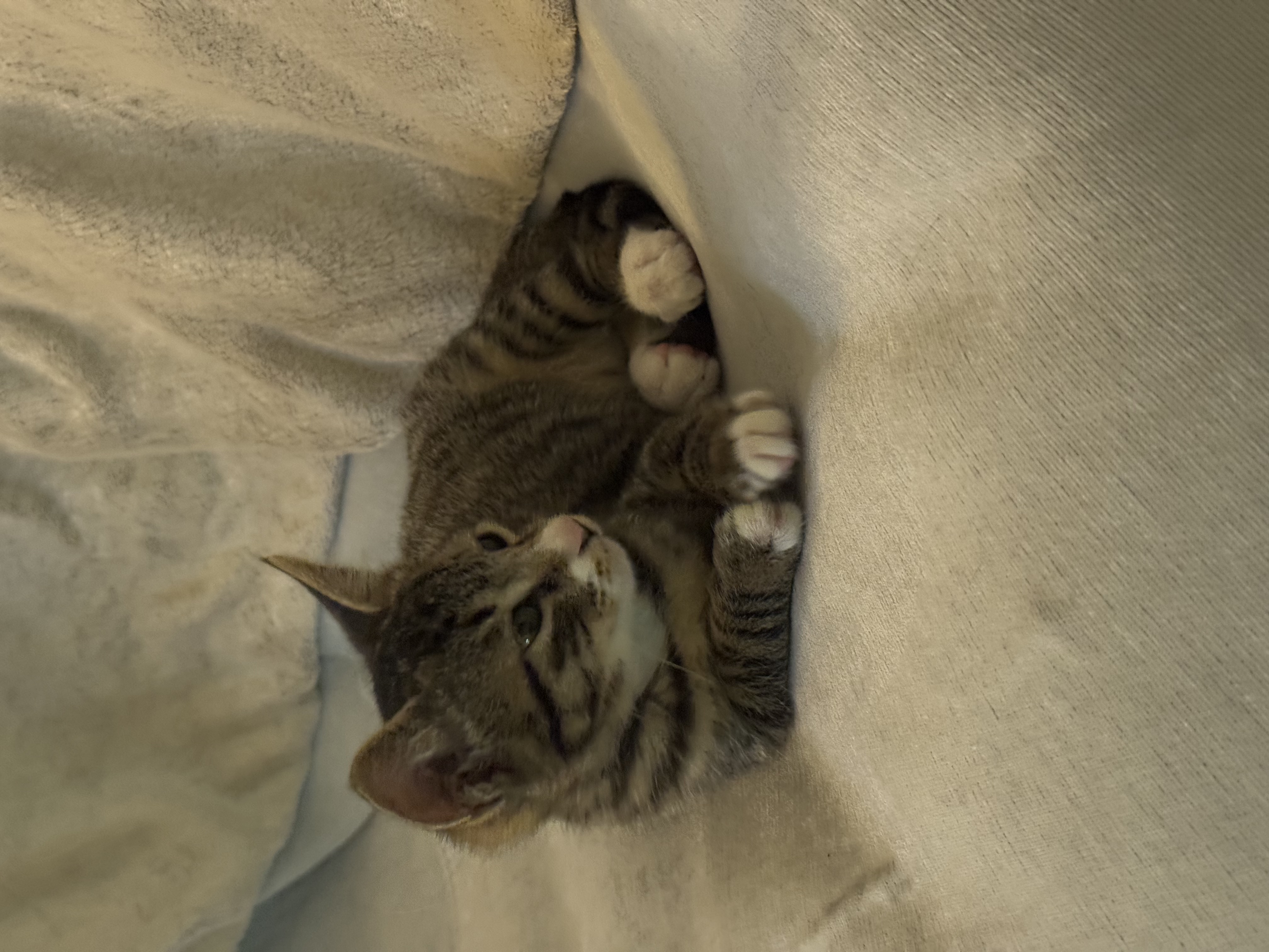 KakaoTalk_Photo_2025-11-24-19-10-26 005.jpeg