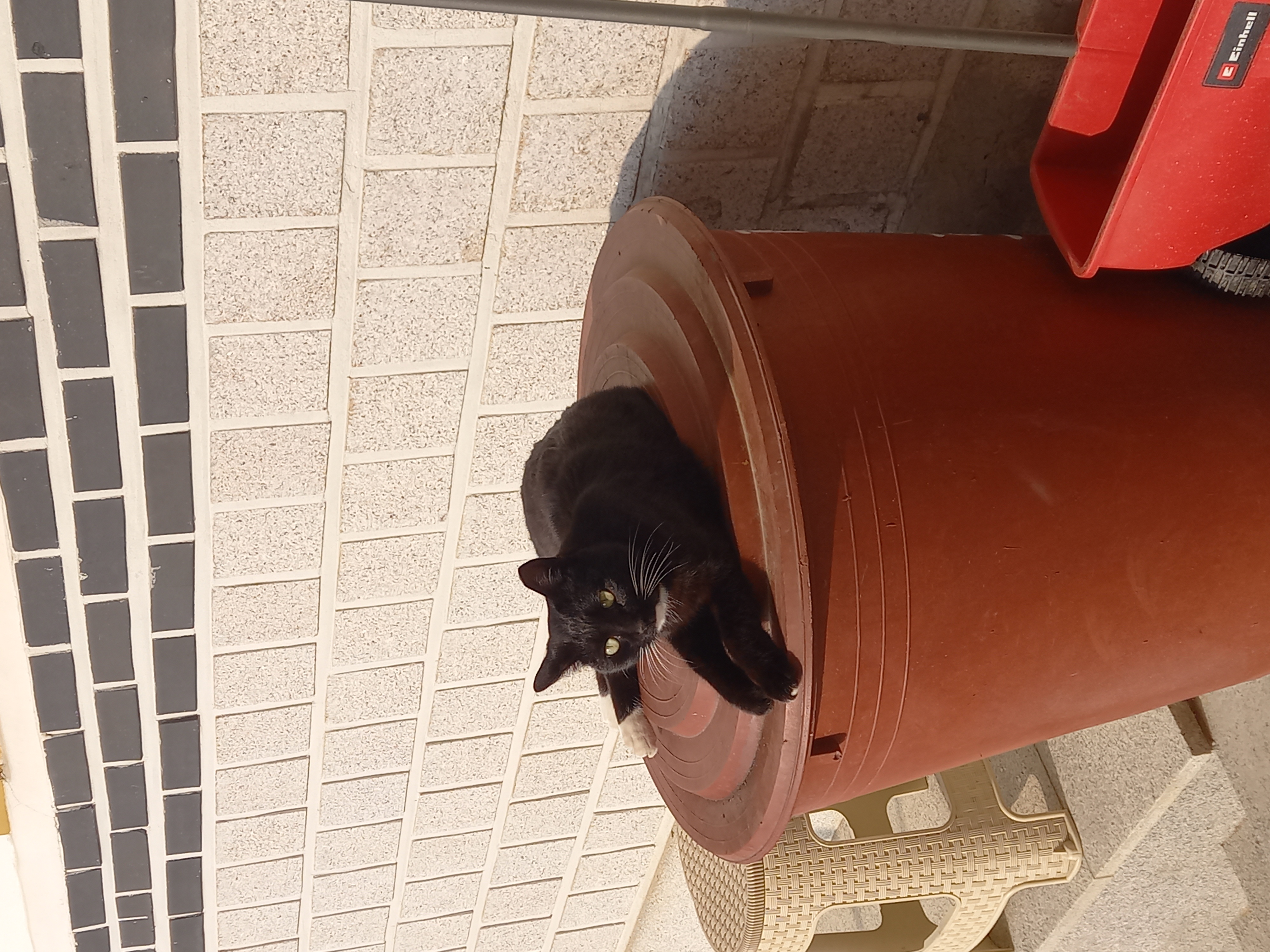 20250310_160935.jpg