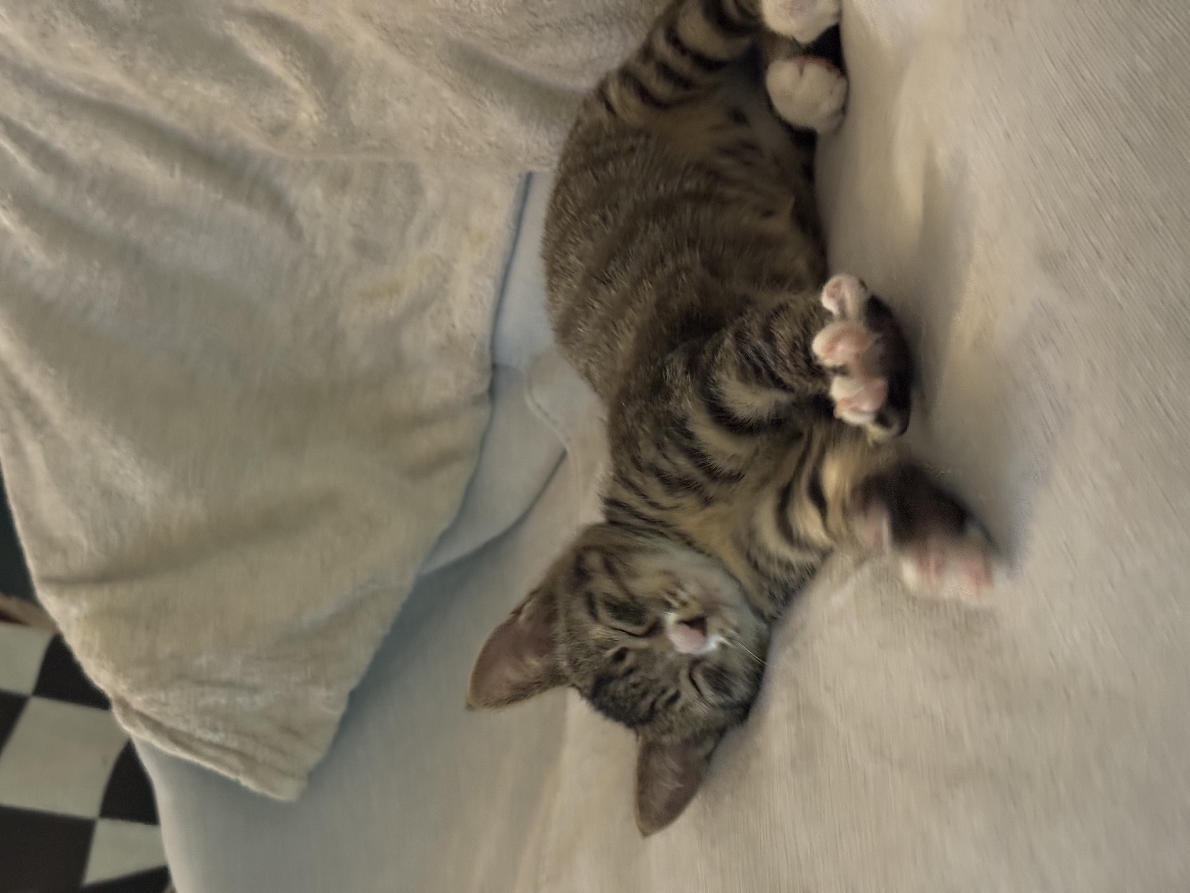 KakaoTalk_Photo_2025-11-24-19-10-26 004.jpeg