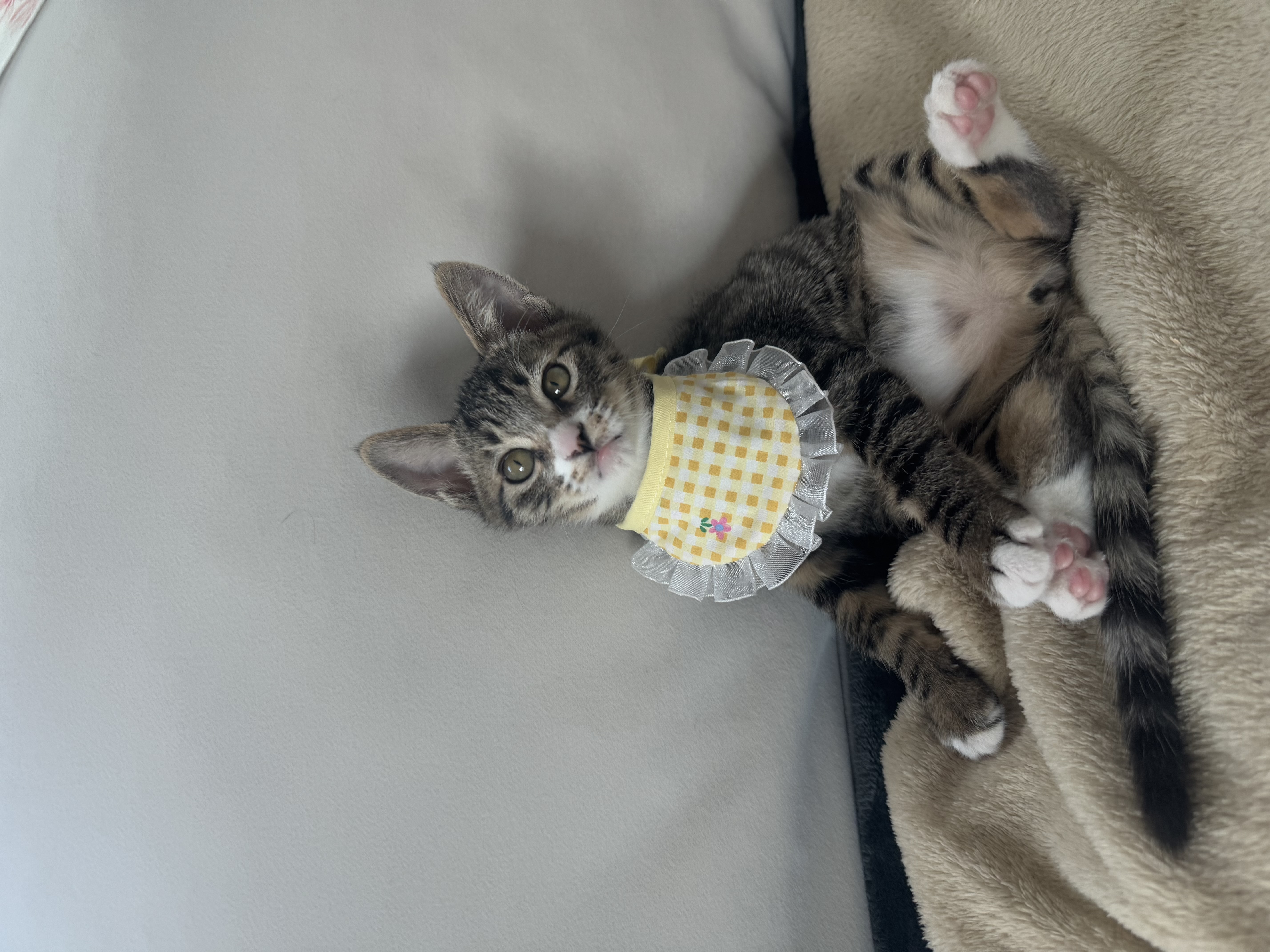 KakaoTalk_Photo_2025-11-24-18-13-25 026.jpeg