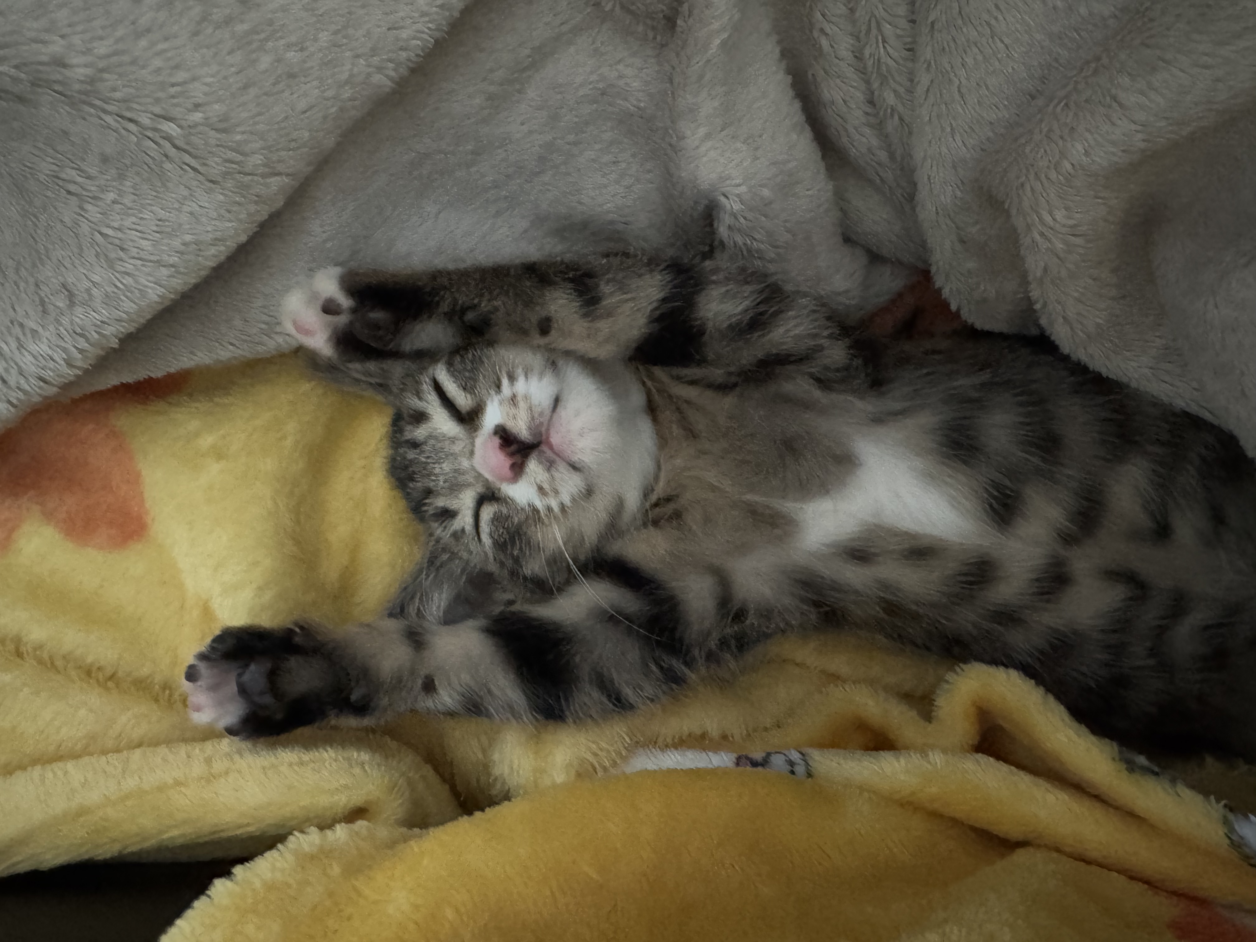 KakaoTalk_Photo_2025-11-24-19-10-16 006.jpeg