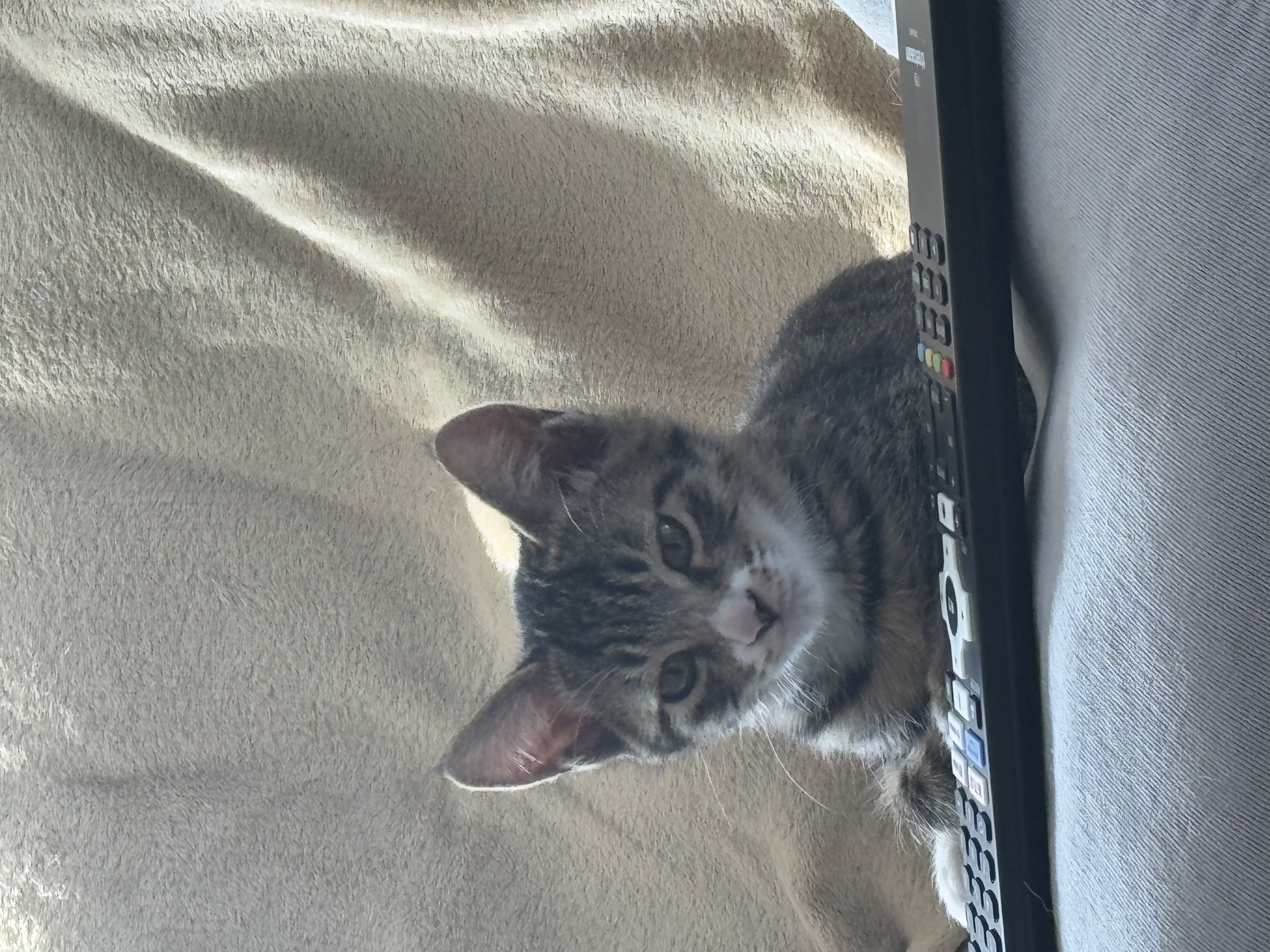 KakaoTalk_Photo_2025-11-24-18-13-24 022.jpeg