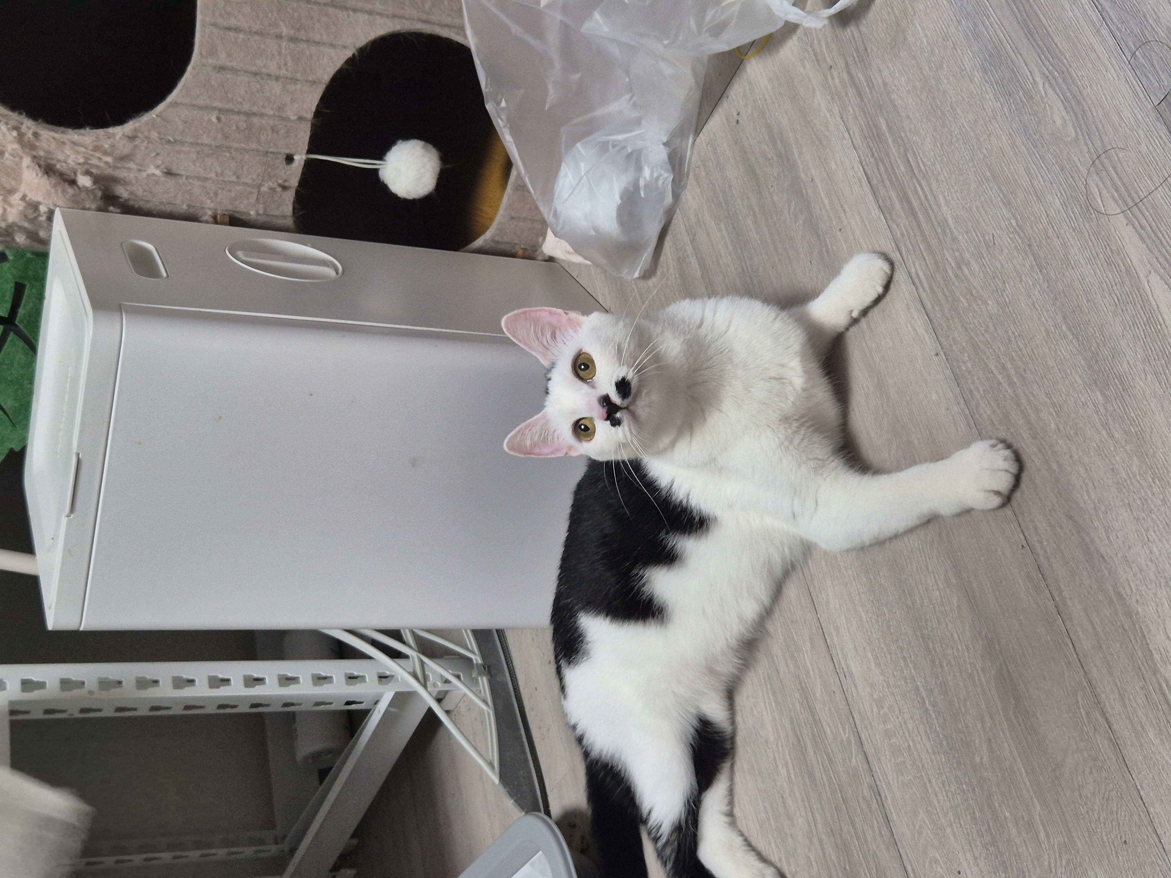 KakaoTalk_20251016_184350854.jpg