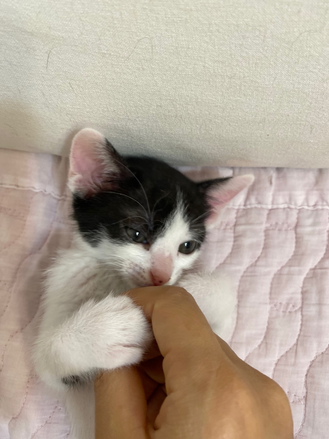 KakaoTalk_20250616_003702715_01.jpg