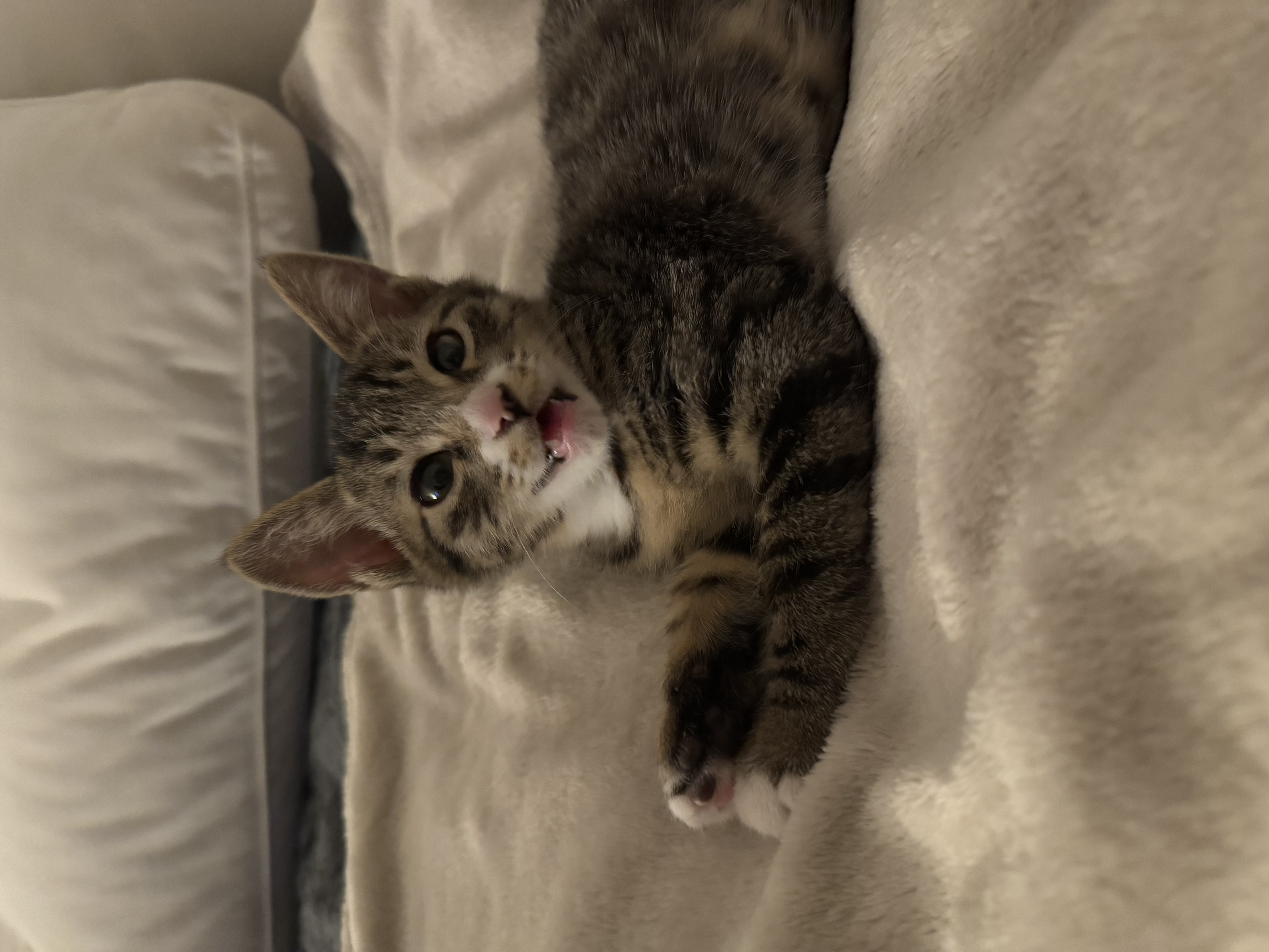 KakaoTalk_Photo_2025-11-24-18-13-23 017.jpeg