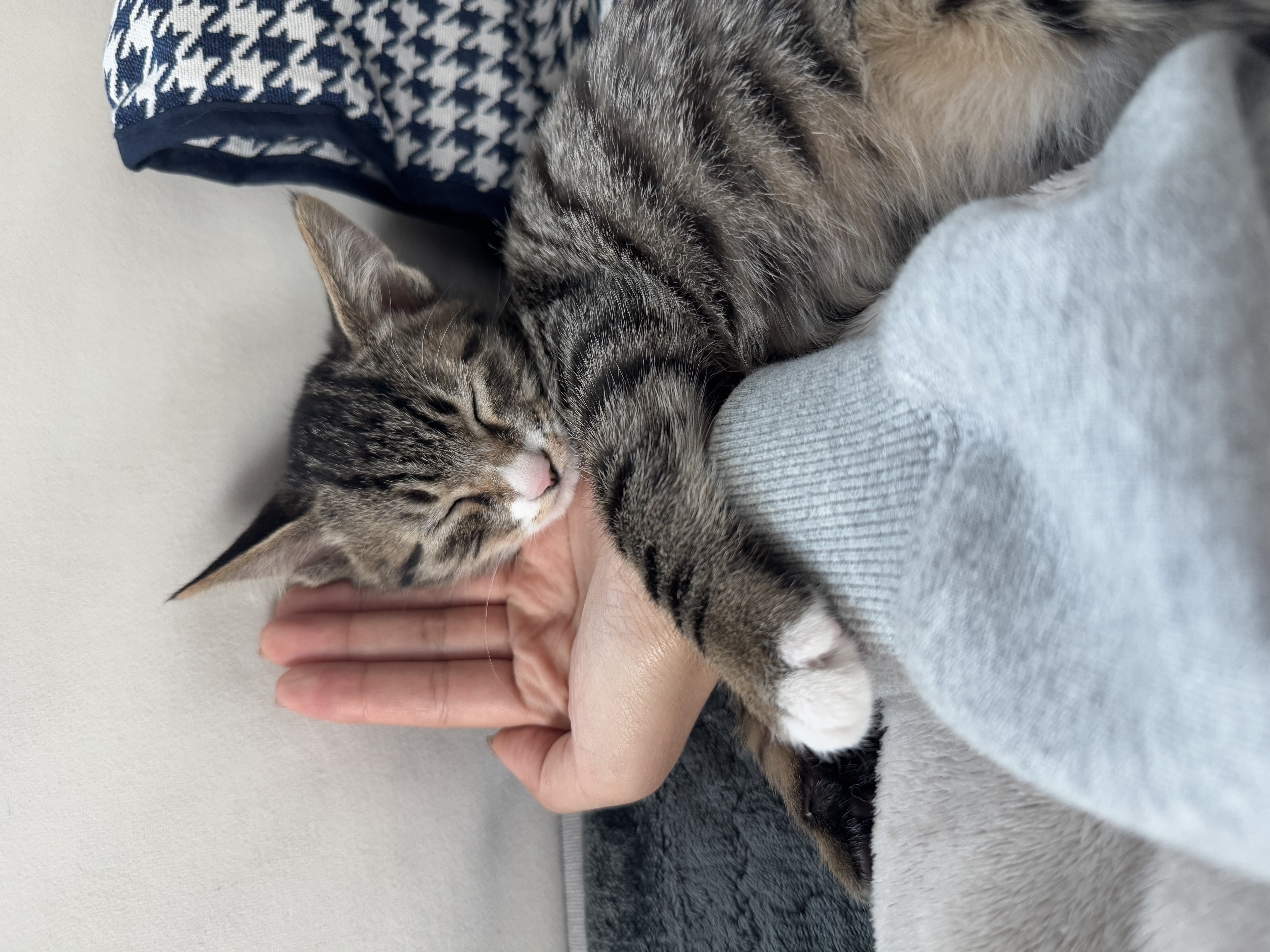 KakaoTalk_Photo_2025-11-24-18-13-25 025.jpeg