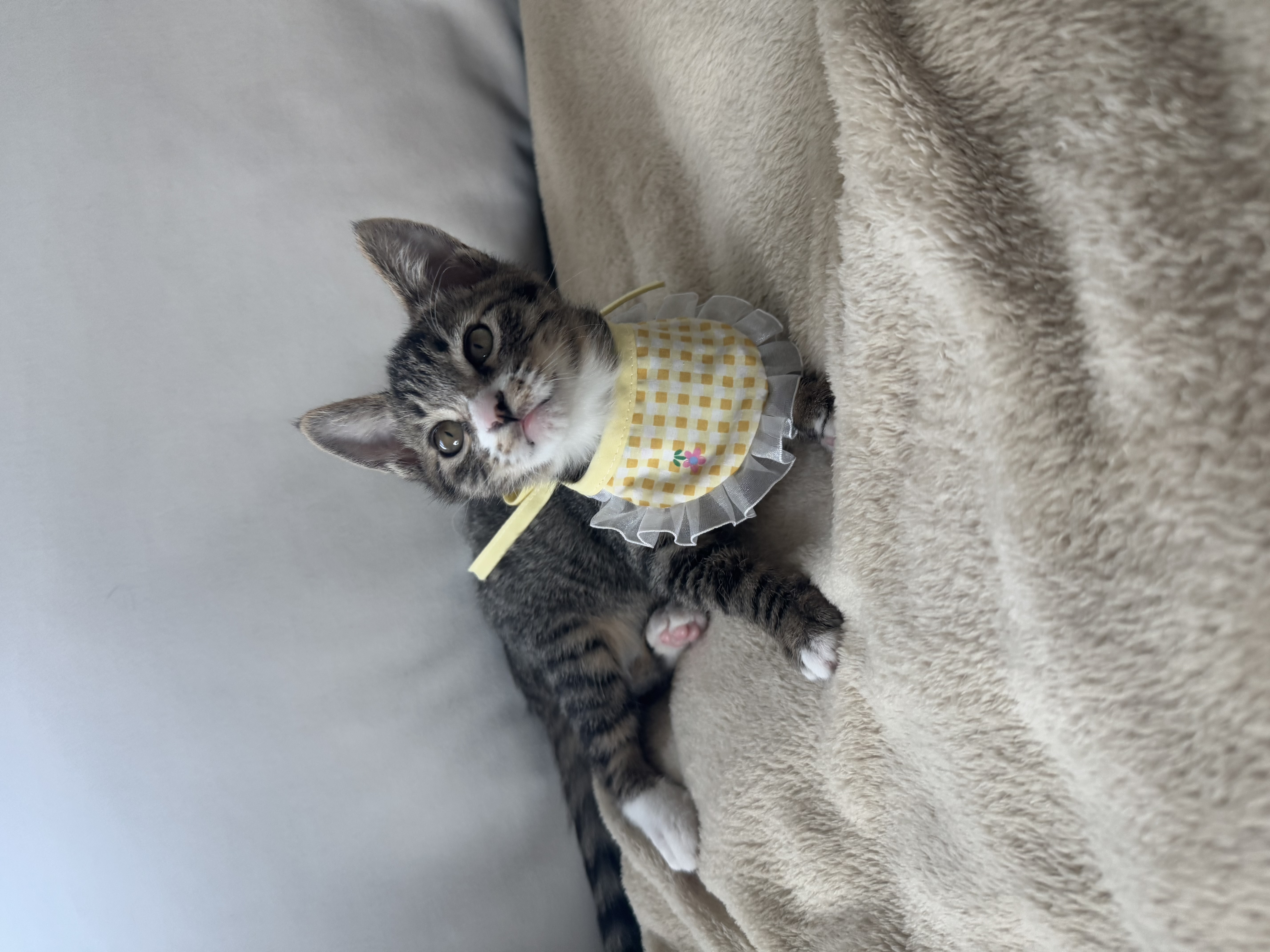 KakaoTalk_Photo_2025-11-24-19-09-54 028.jpeg