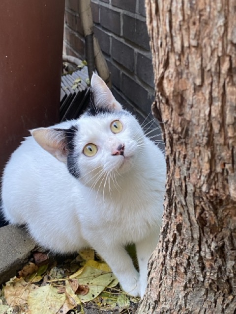 IMG_3521 중간.jpeg