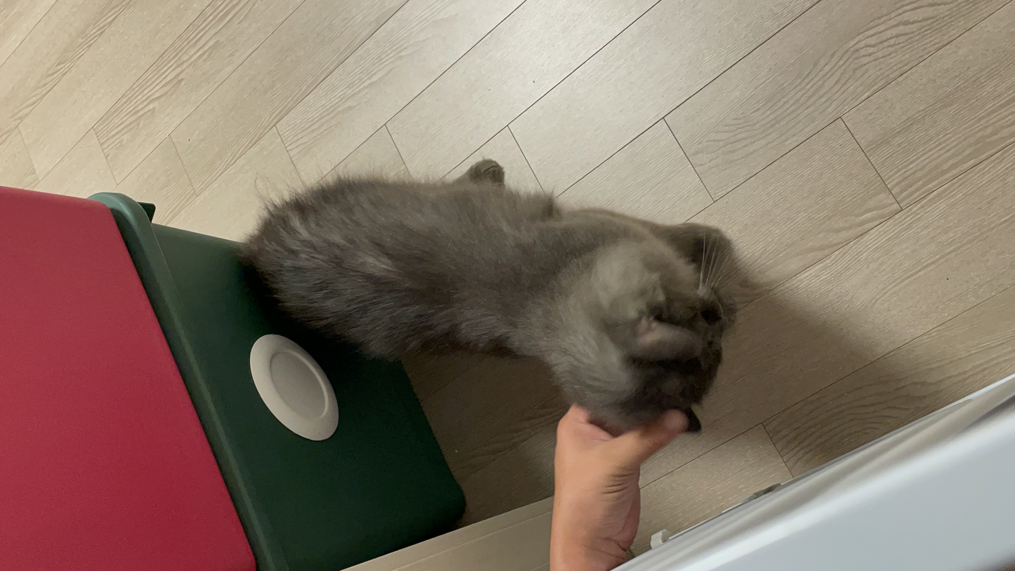 KakaoTalk_20240805_113453943_01.jpg