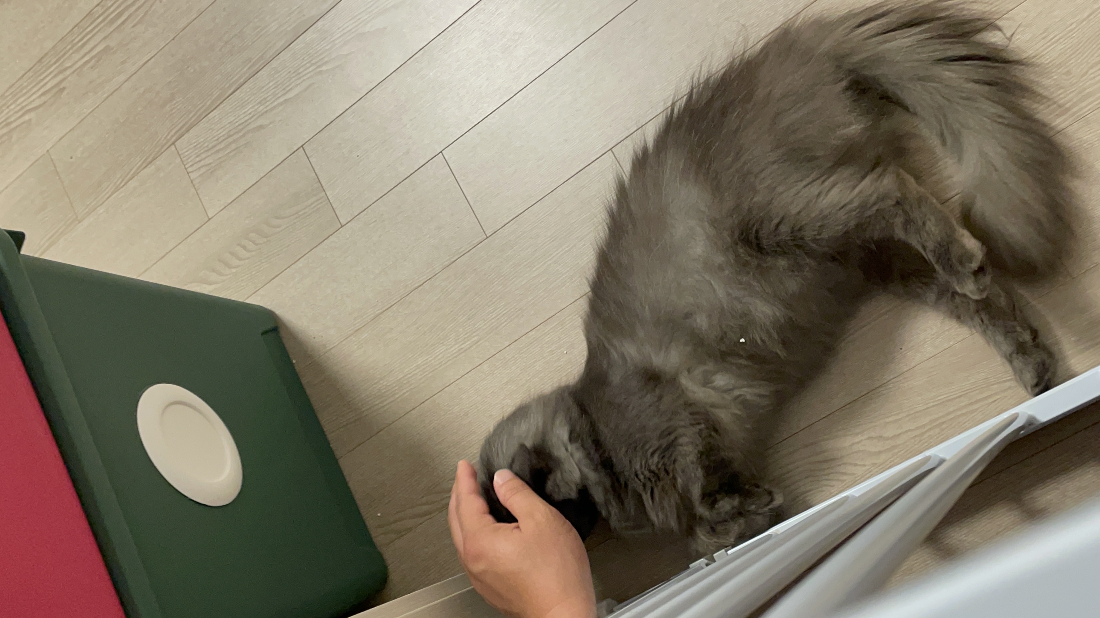 KakaoTalk_20240805_113453943.jpg