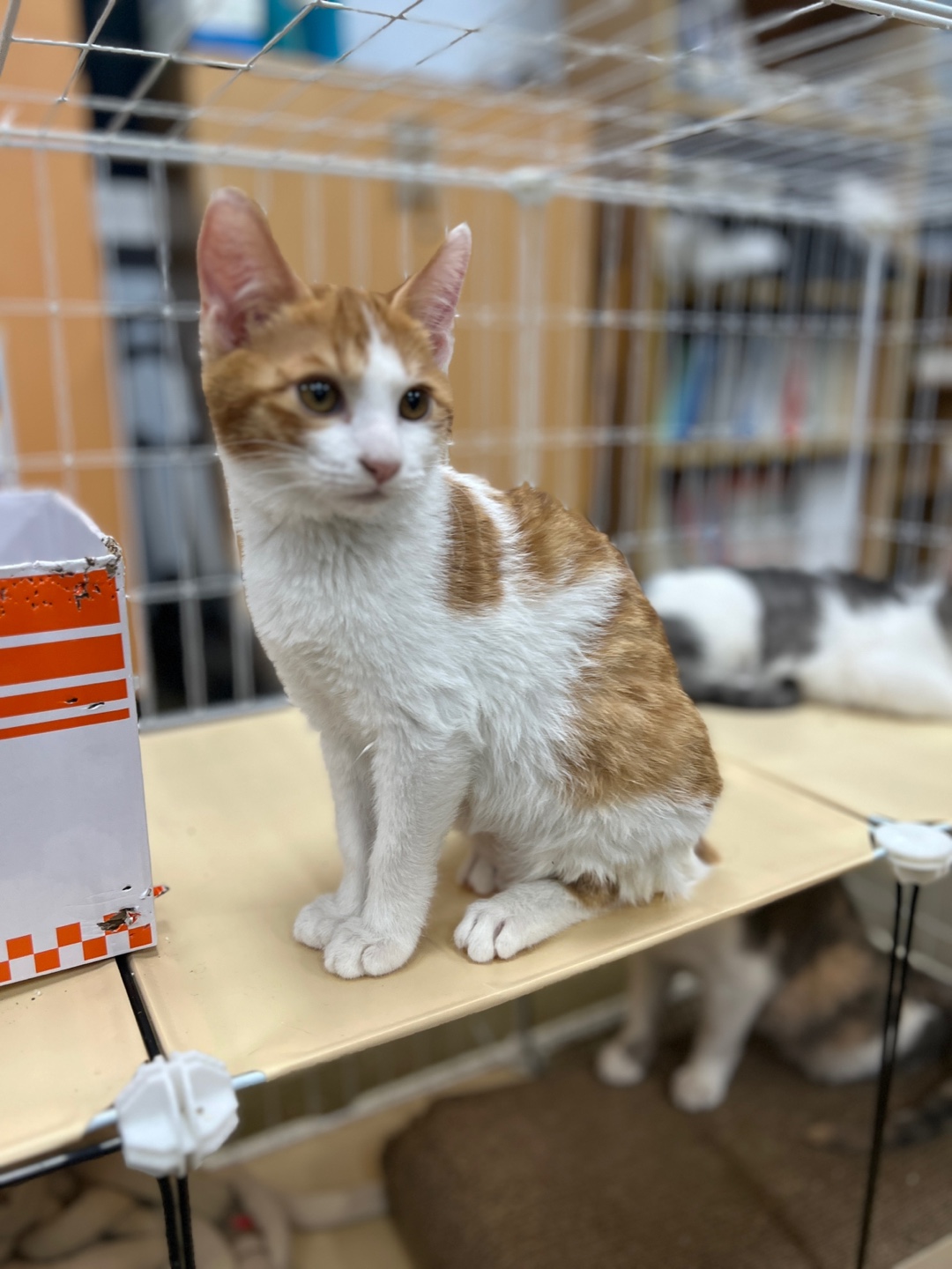 TalkMedia_i_d77de21433af.jpeg (1).jpeg