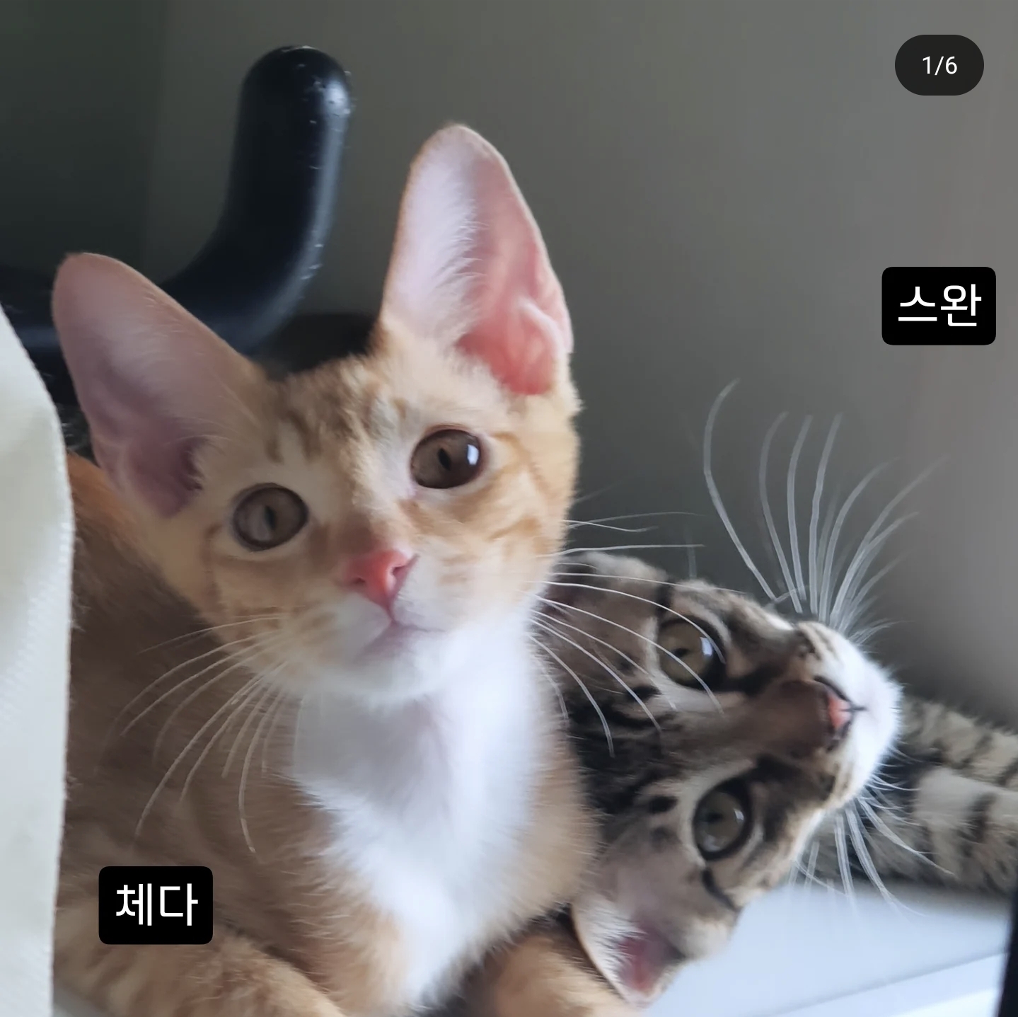 Screenshot_20250909_015249_Instagram.jpg