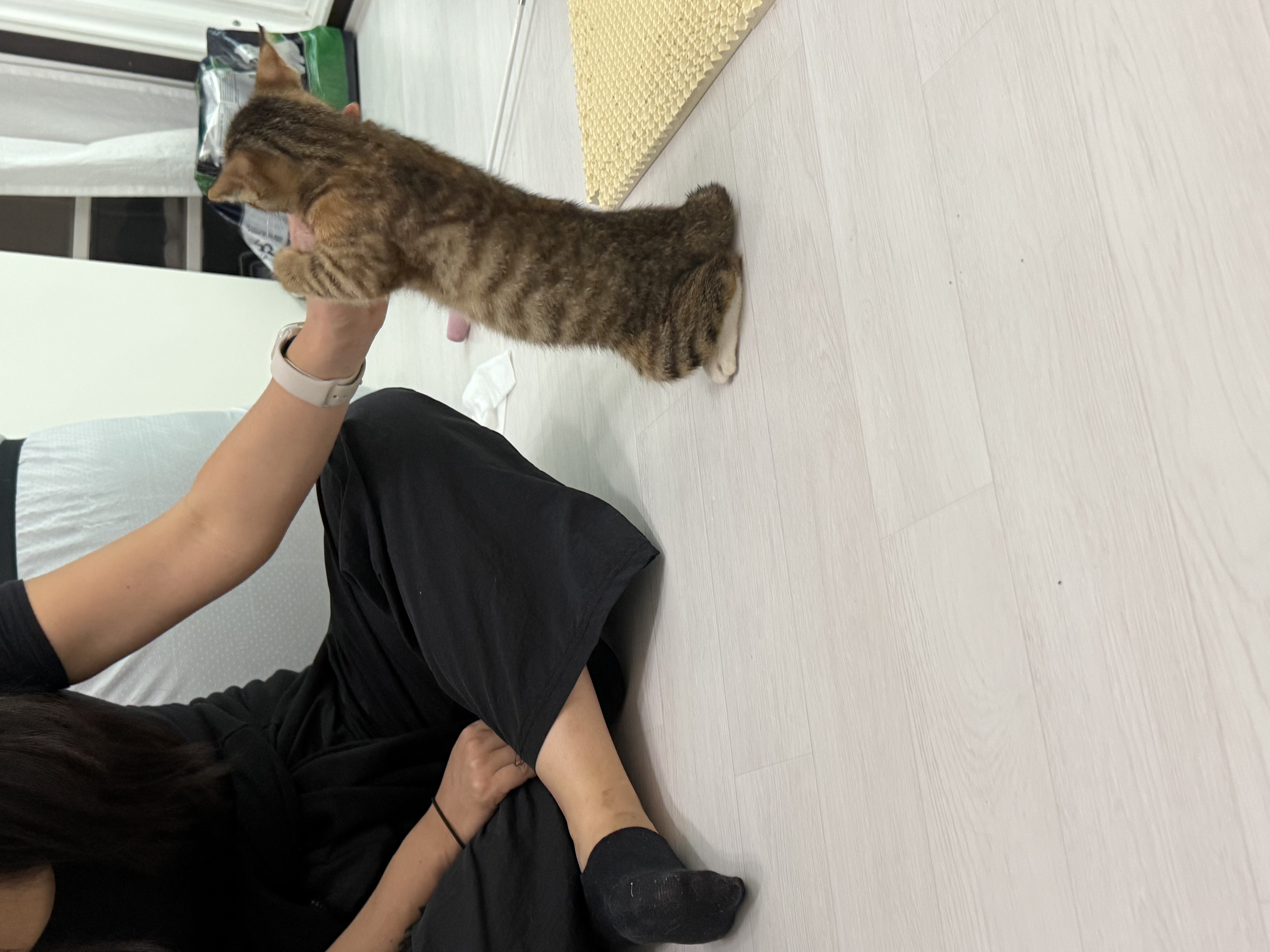 KakaoTalk_20251002_141145435_01.jpg