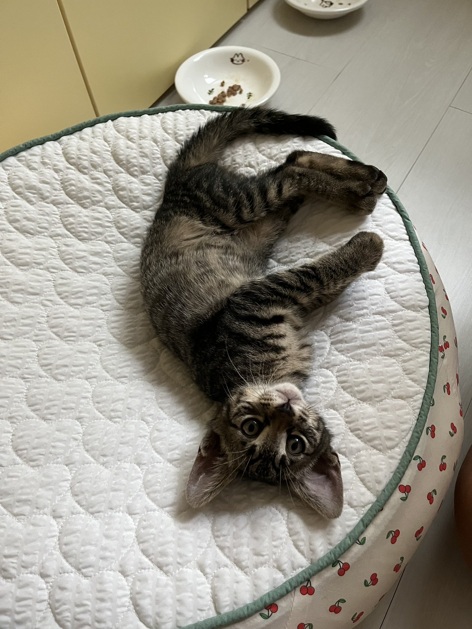 강이2.JPEG