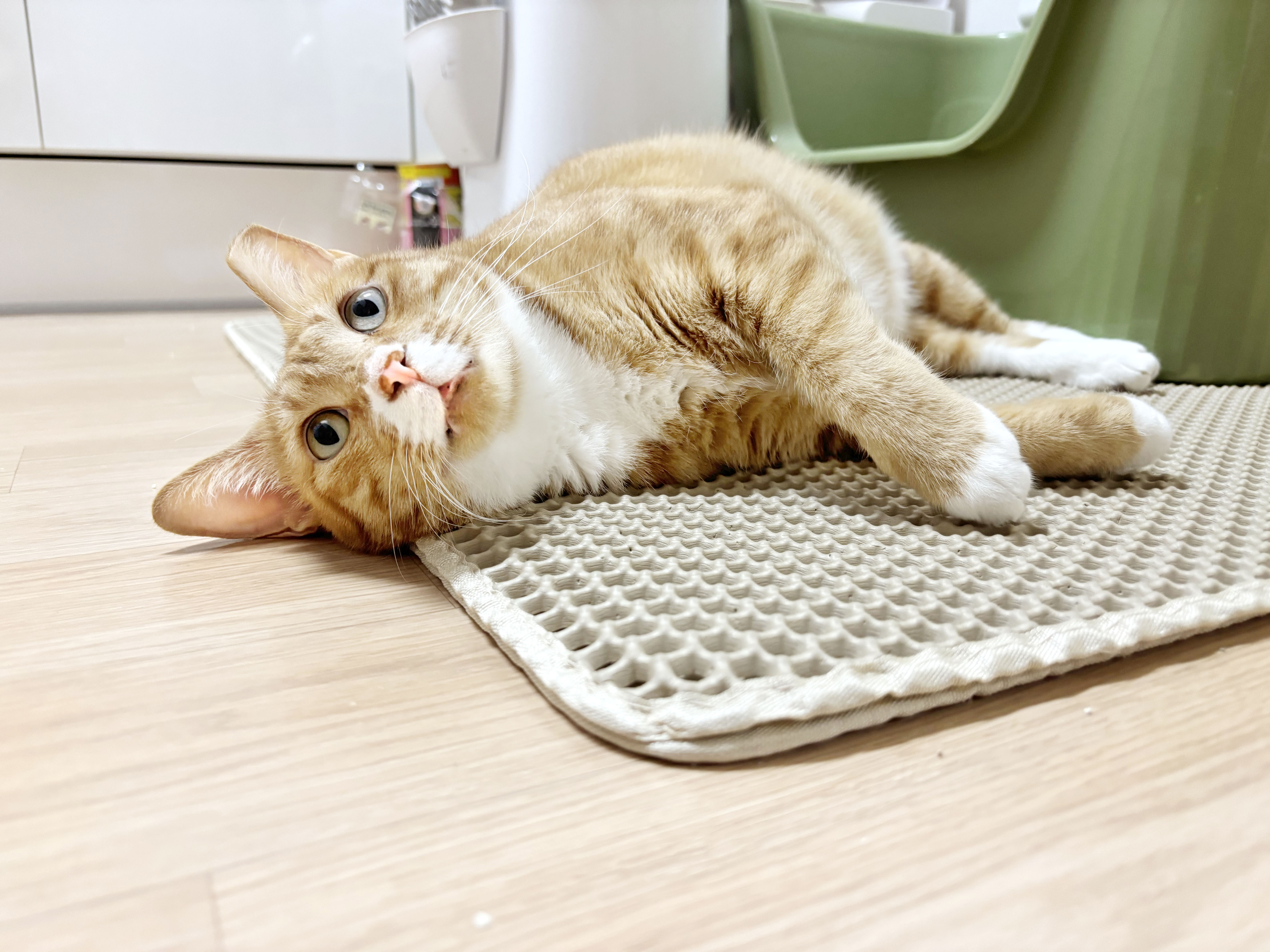 KakaoTalk_20250918_210159020_08.jpg