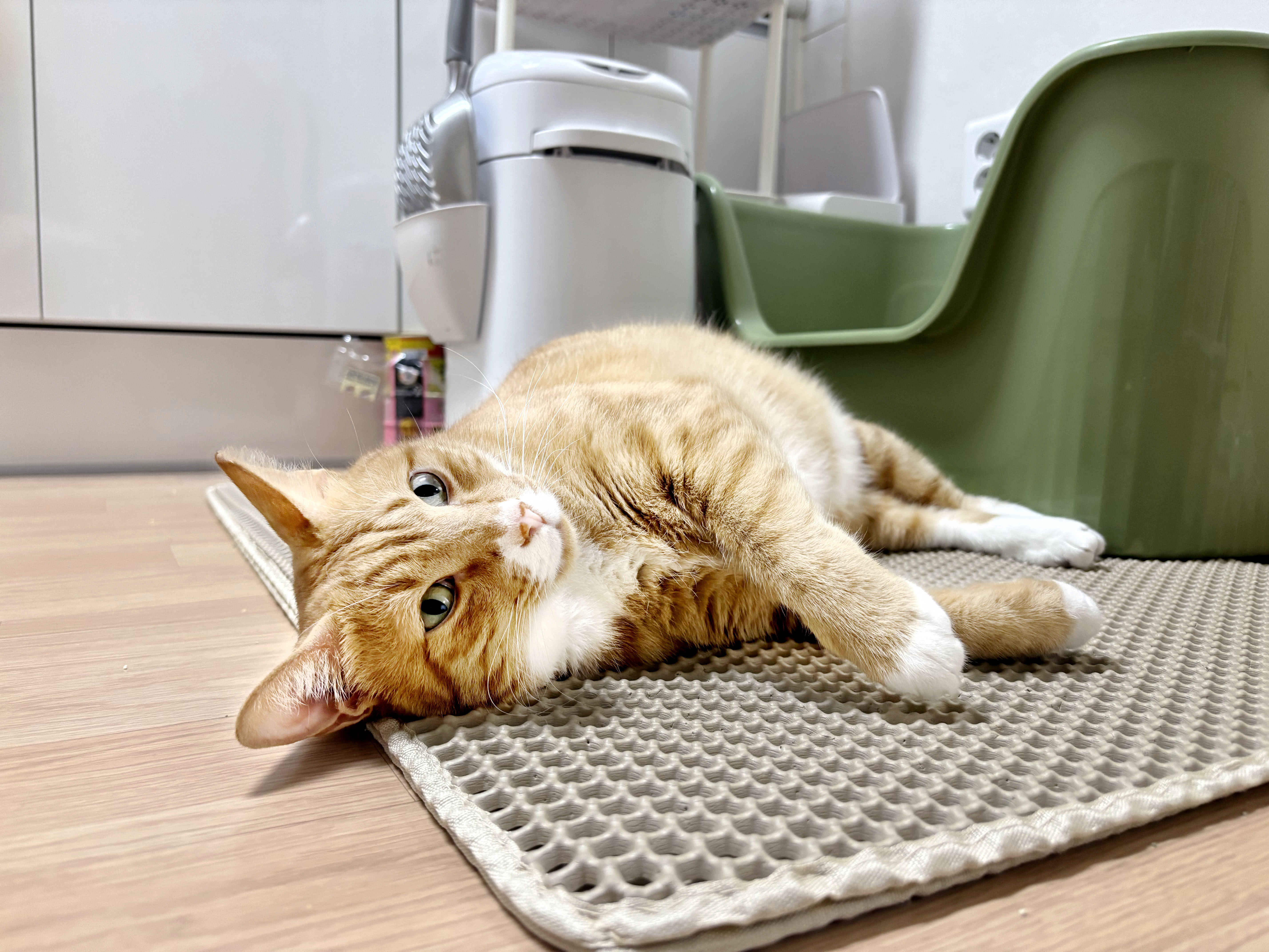 KakaoTalk_20250918_210159020_21.jpg