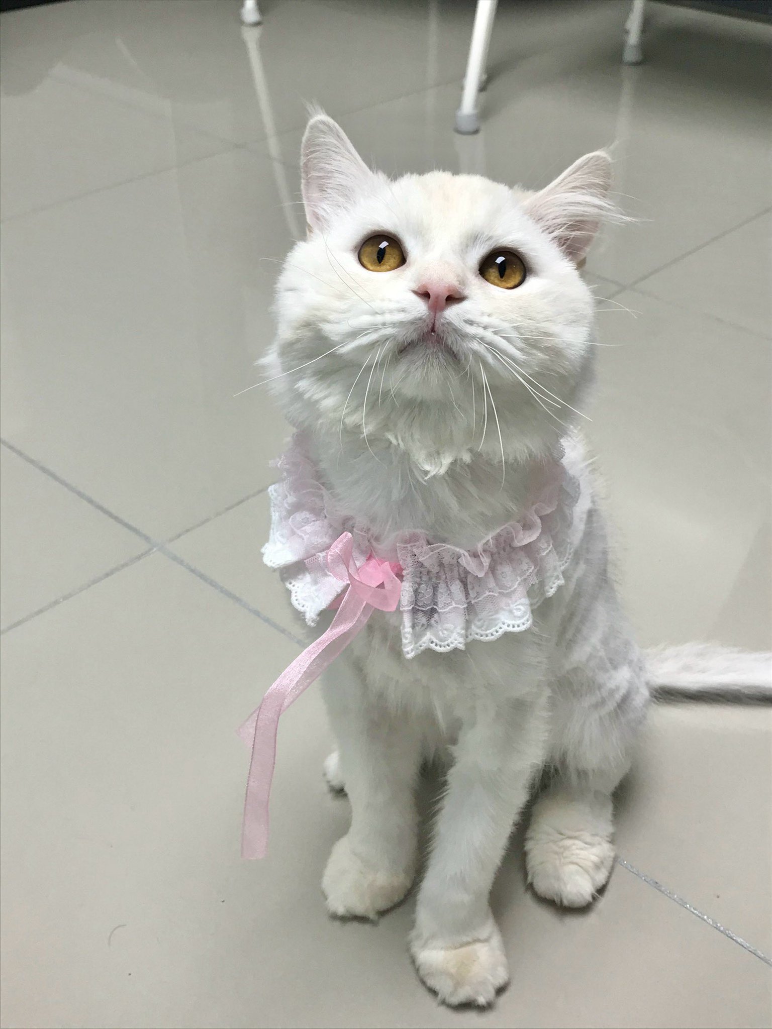 KakaoTalk_20250602_230716522.jpg