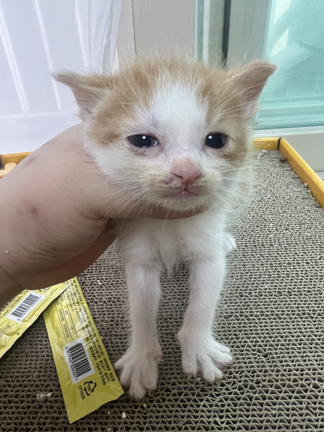 KakaoTalk_20250522_145840961_05.jpg