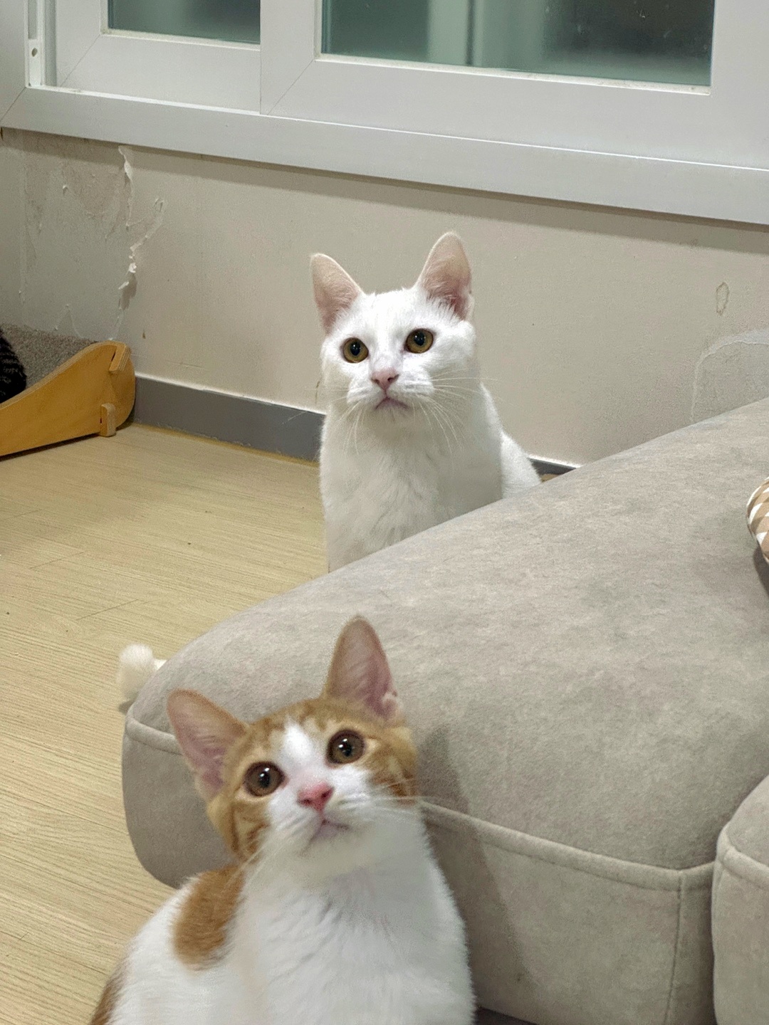 KakaoTalk_20250814_211359859_06.jpg