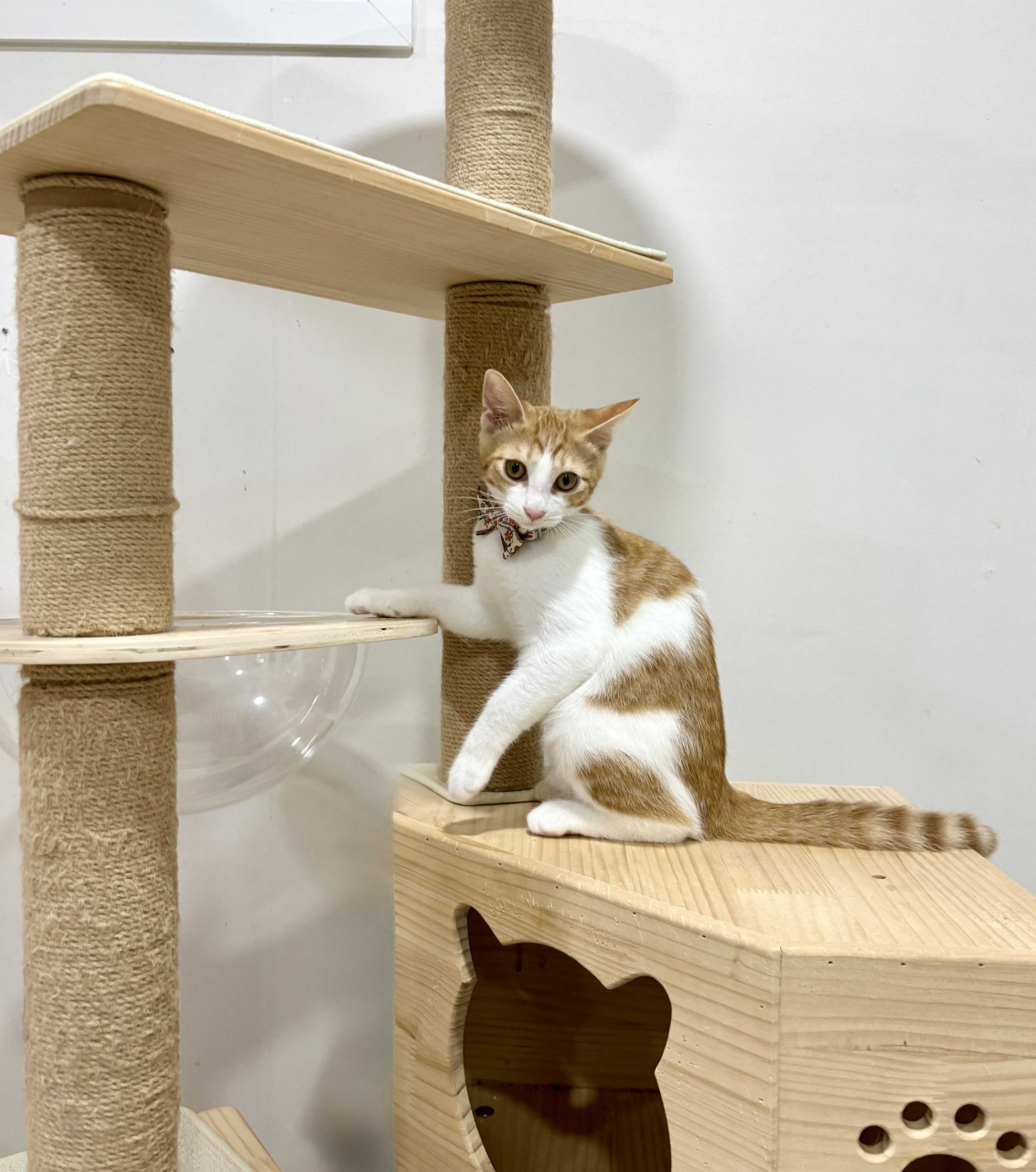 KakaoTalk_20250814_211359859_02.jpg