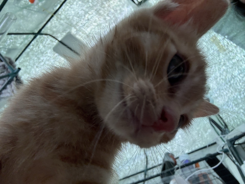 KakaoTalk_20250612_234006240_09.jpg