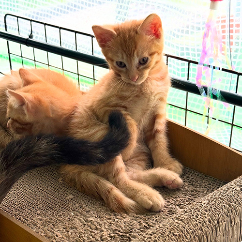 KakaoTalk_20250623_173227049_03.jpg