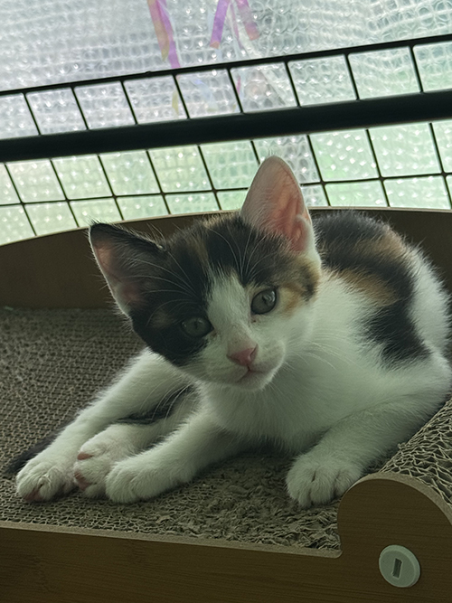 KakaoTalk_20250623_180423995_01.jpg