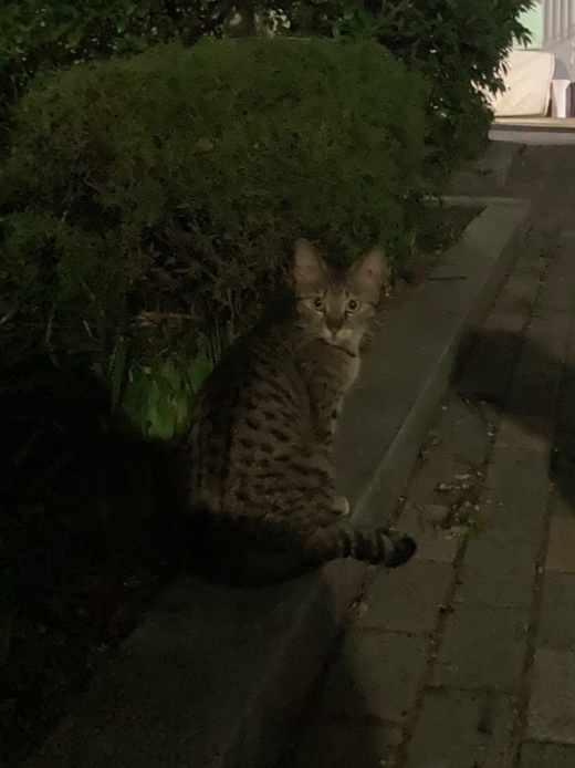 KakaoTalk_20250529_224136259.jpg