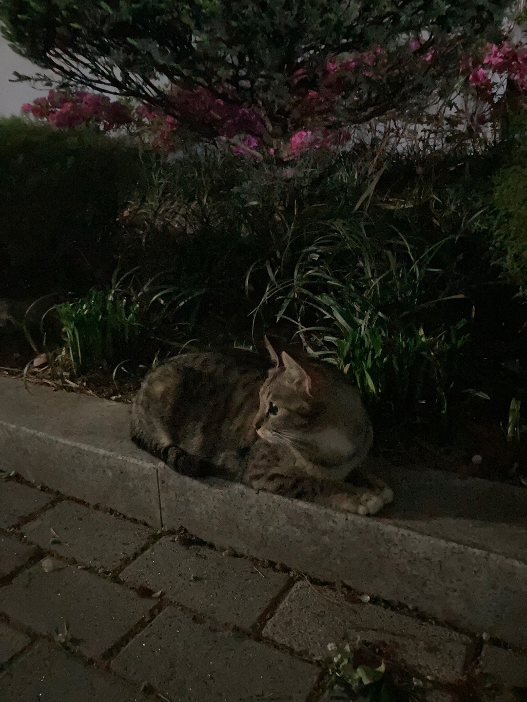 KakaoTalk_20250529_224102550.jpg