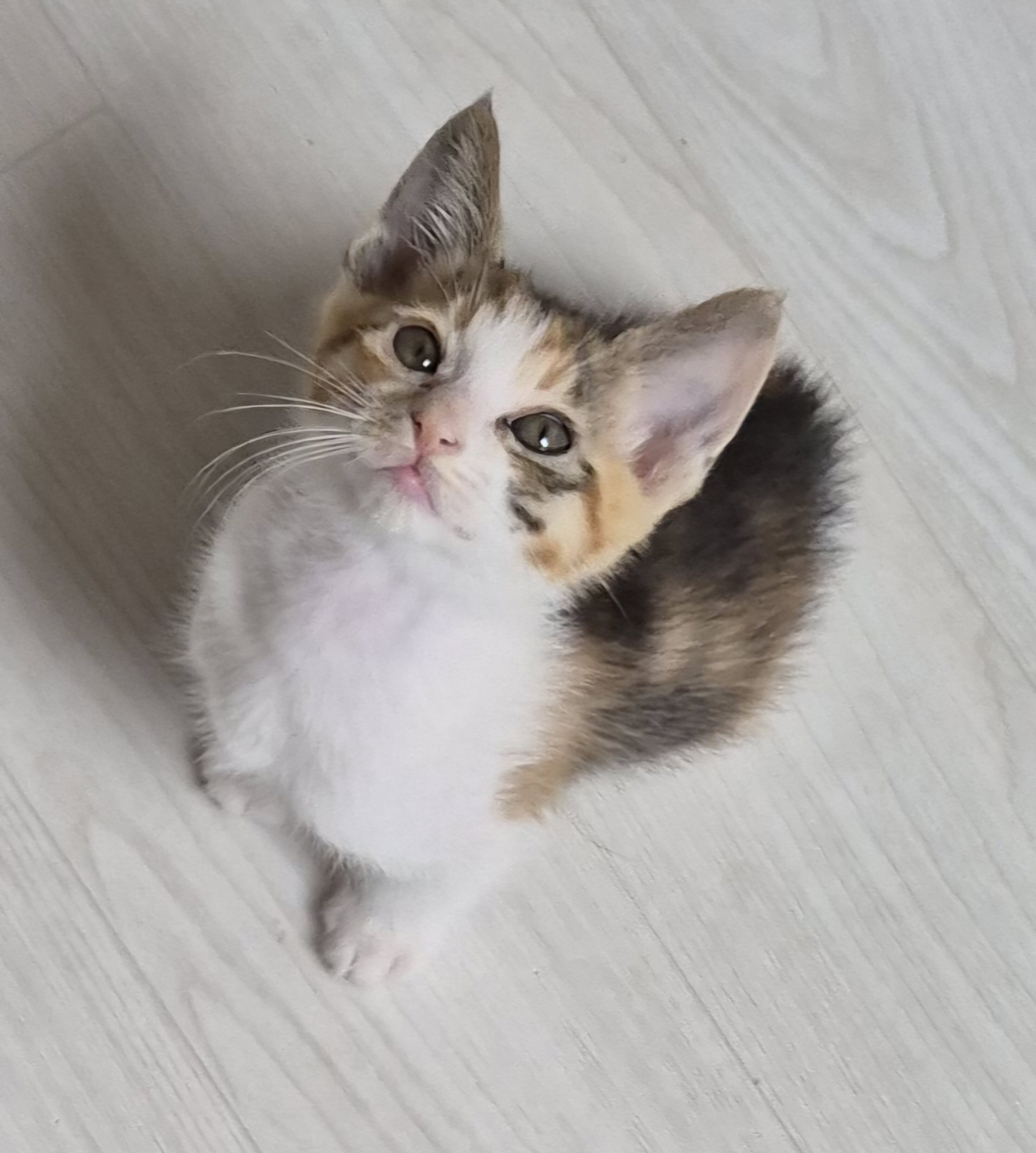 KakaoTalk_20250529_211321624.jpg