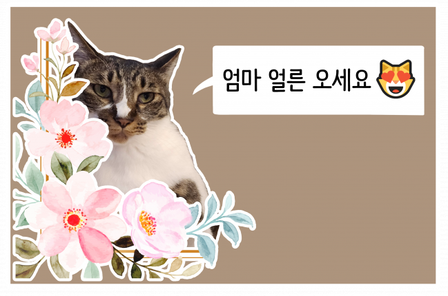 KakaoTalk_20240116_143238417.png