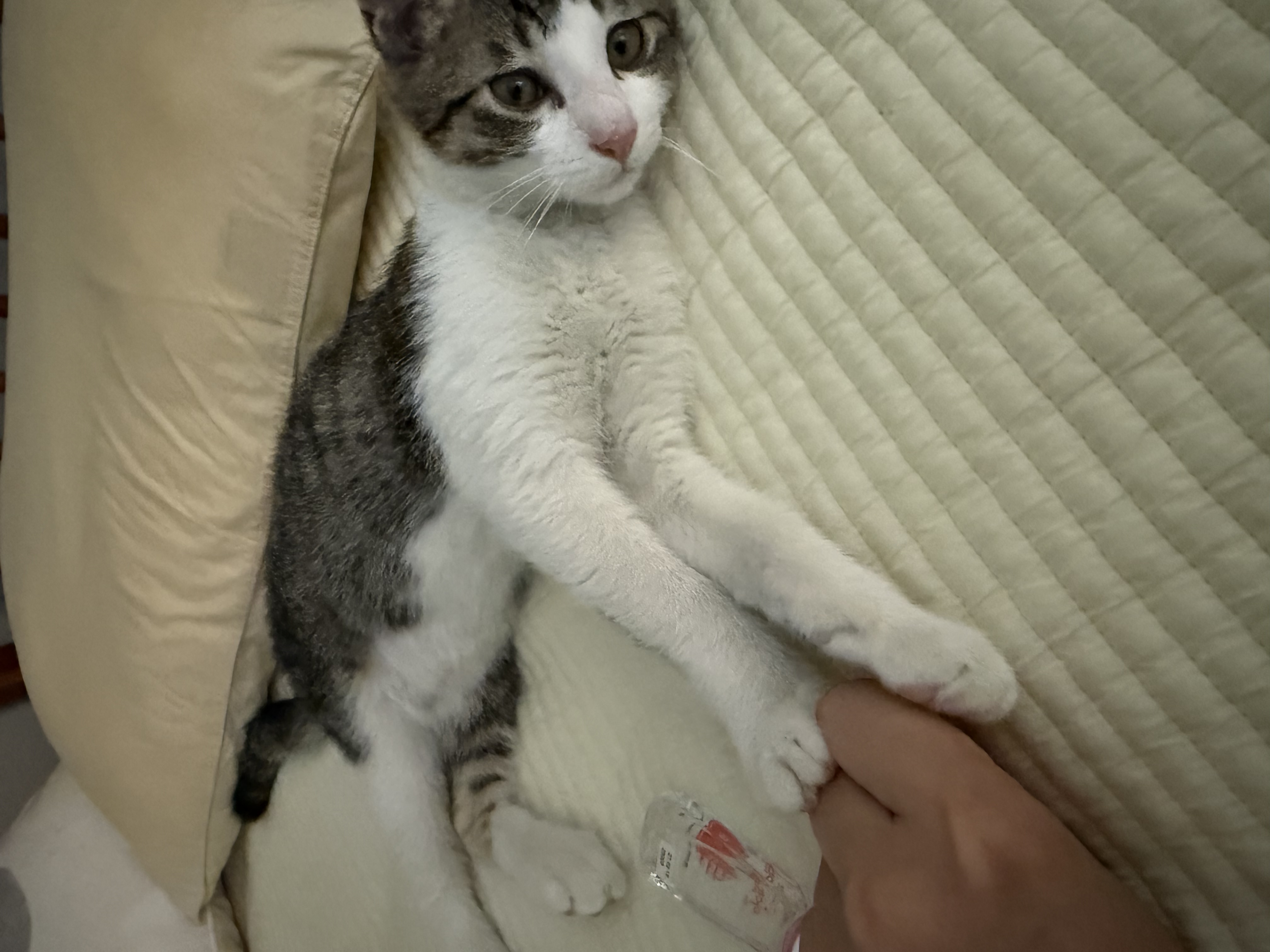 KakaoTalk_20250802_150745379_02.jpg