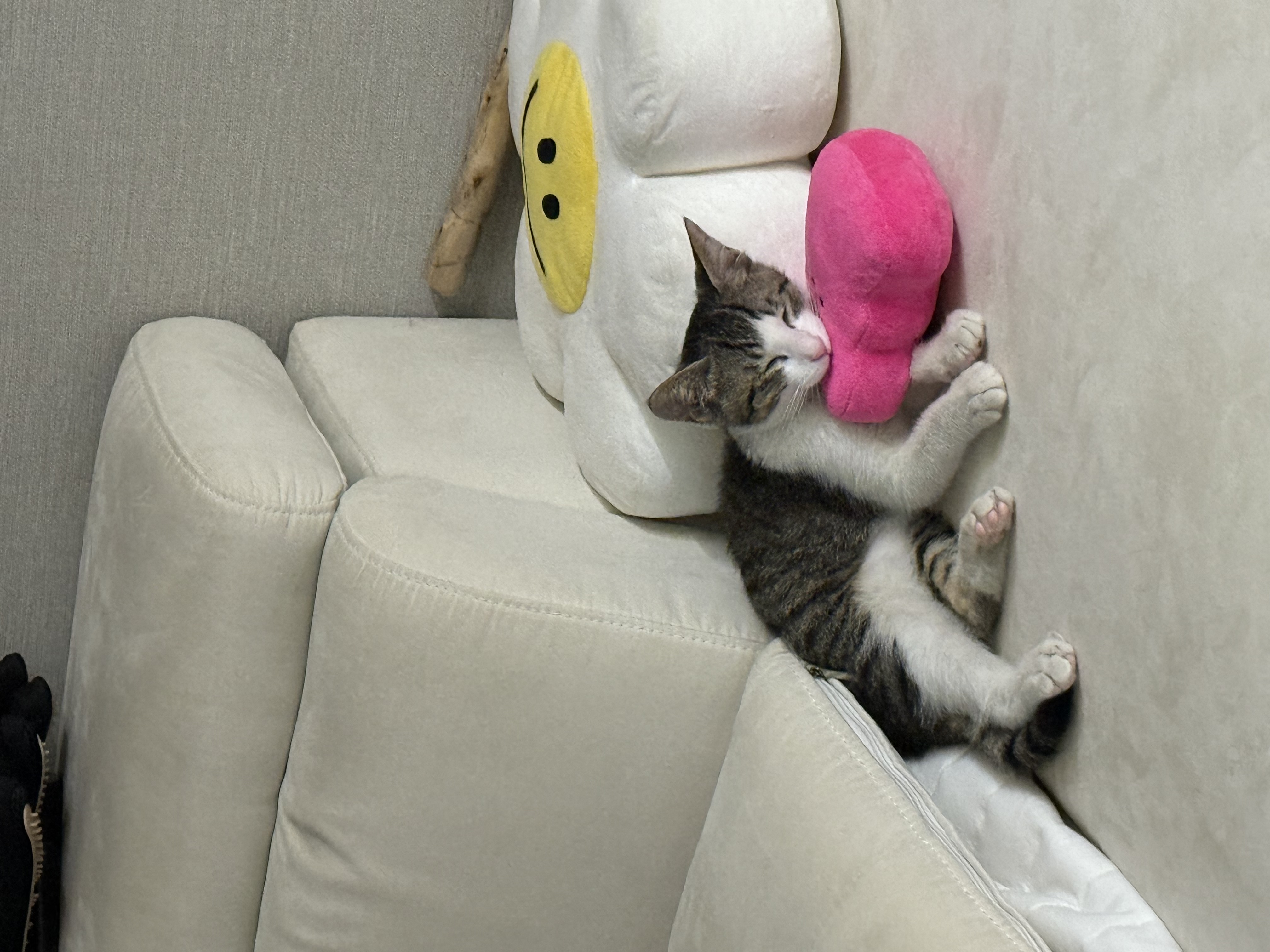 KakaoTalk_20250802_150745379_03.jpg