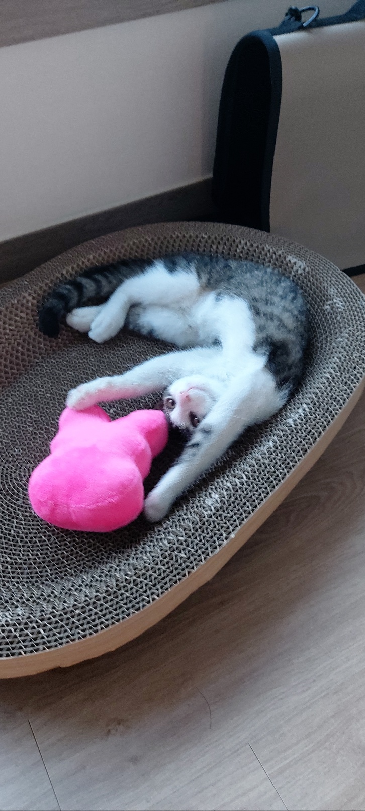 KakaoTalk_20250802_150745379_07.jpg