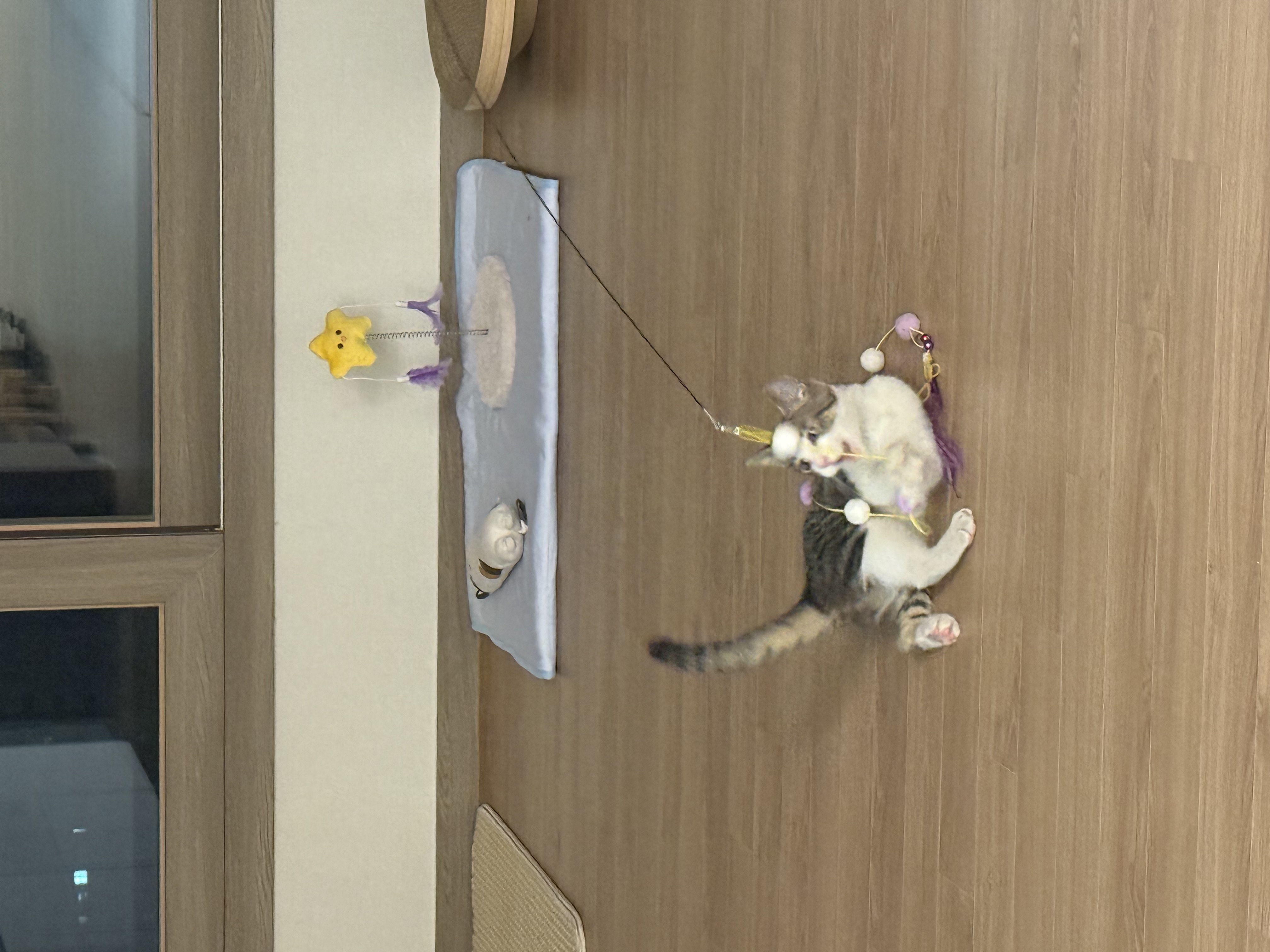 KakaoTalk_20250802_150745379_09.jpg