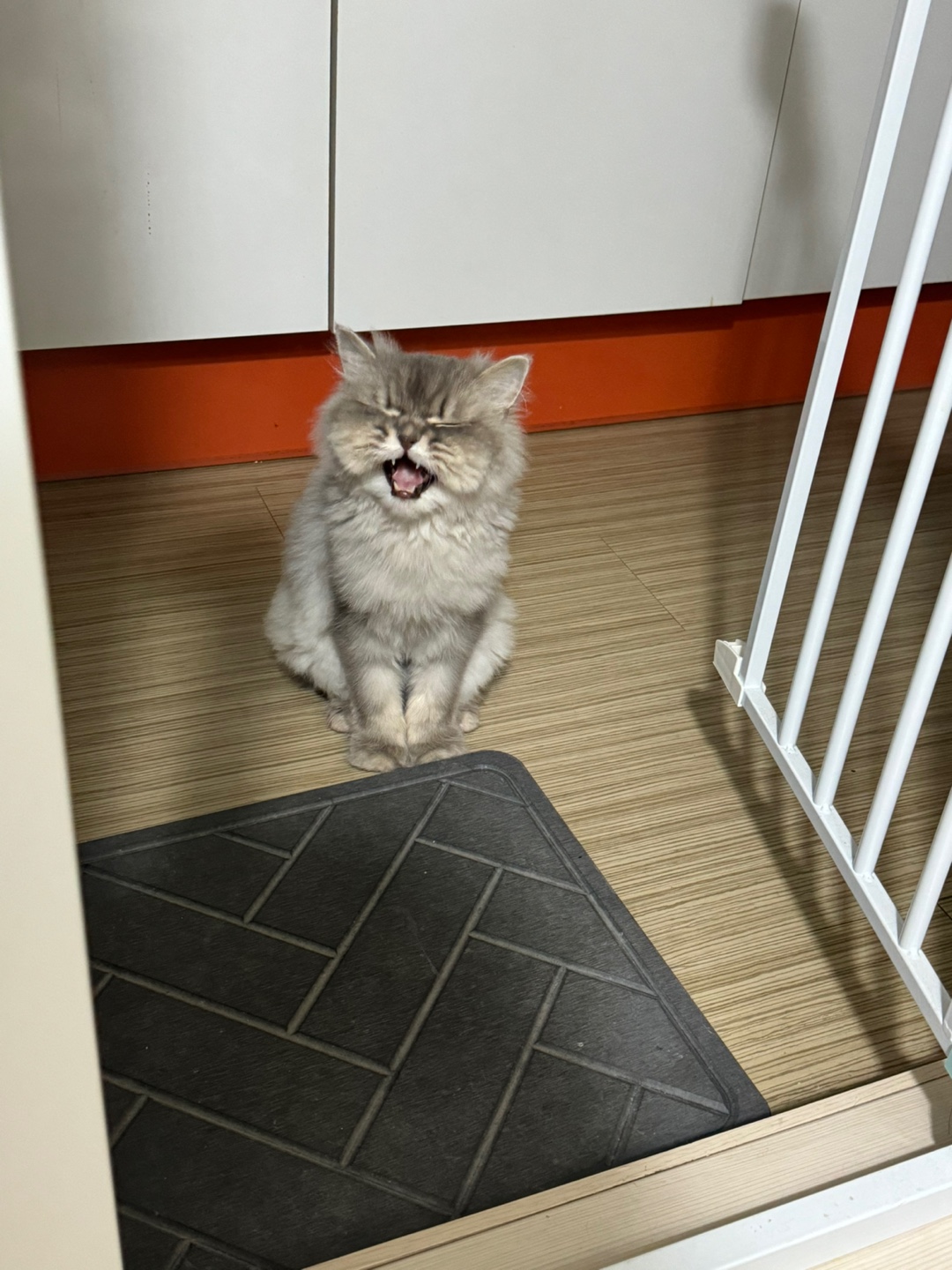 KakaoTalk_20250511_112702487_25.jpg