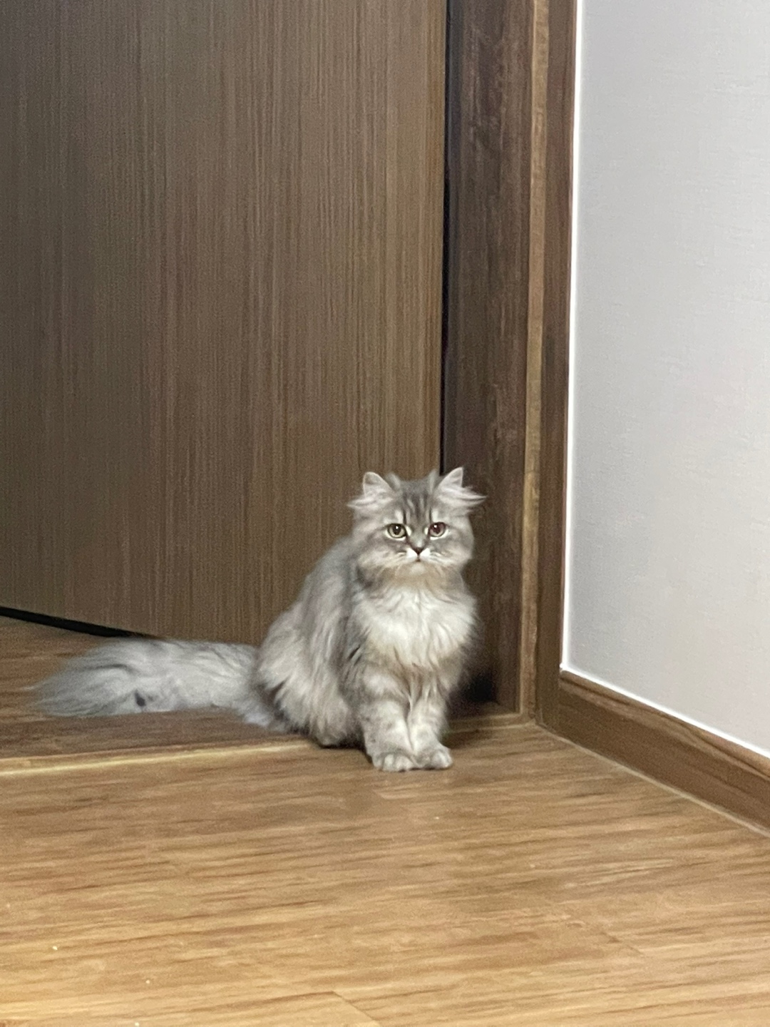 KakaoTalk_20250511_112702487_12.jpg