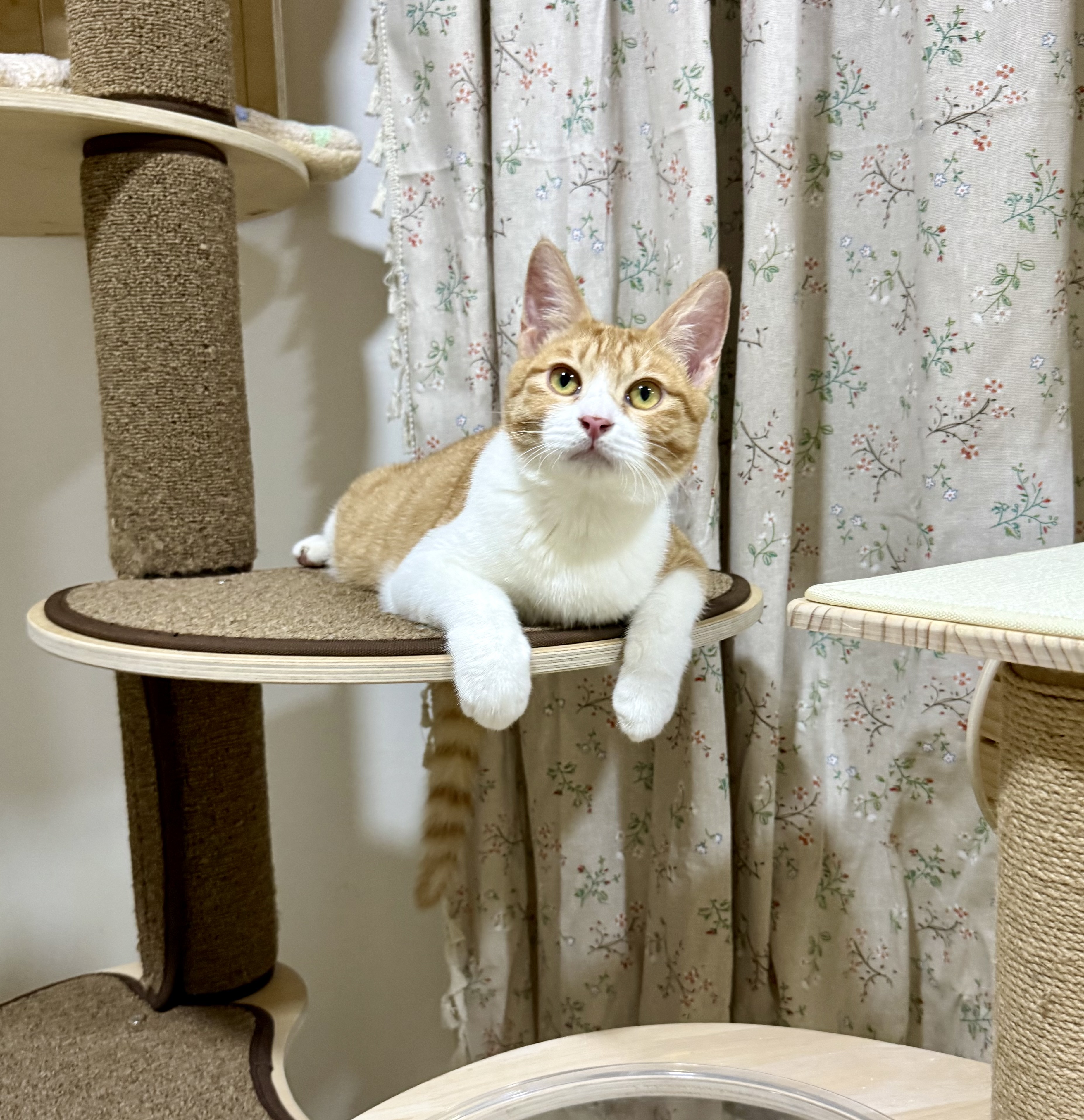 KakaoTalk_20250610_175951910_11.jpg
