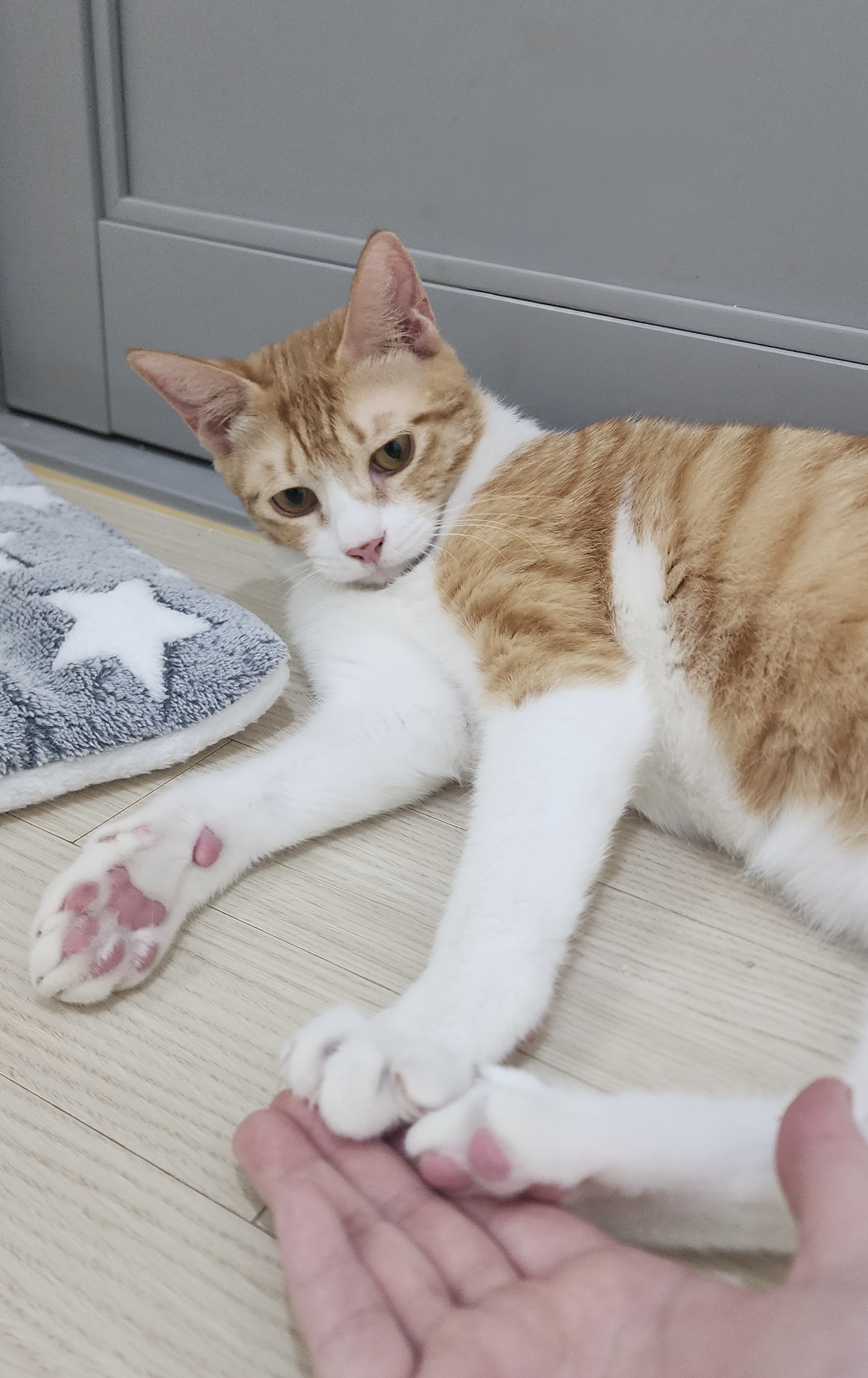 KakaoTalk_20250610_175951910_04.jpg