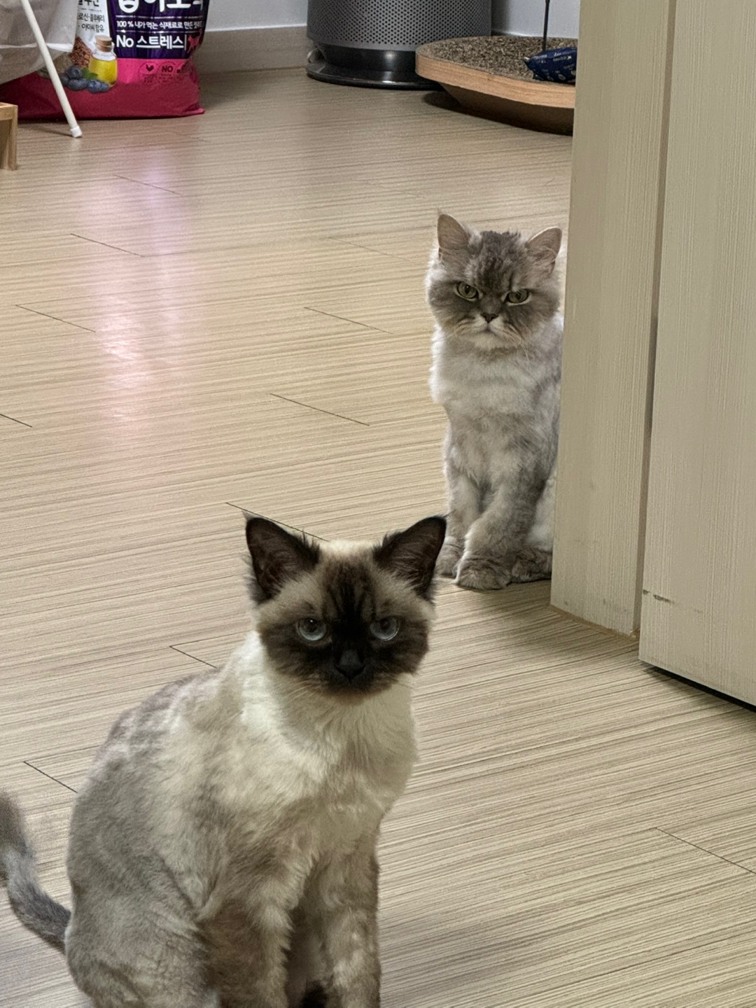 KakaoTalk_20250511_112702487_22.jpg