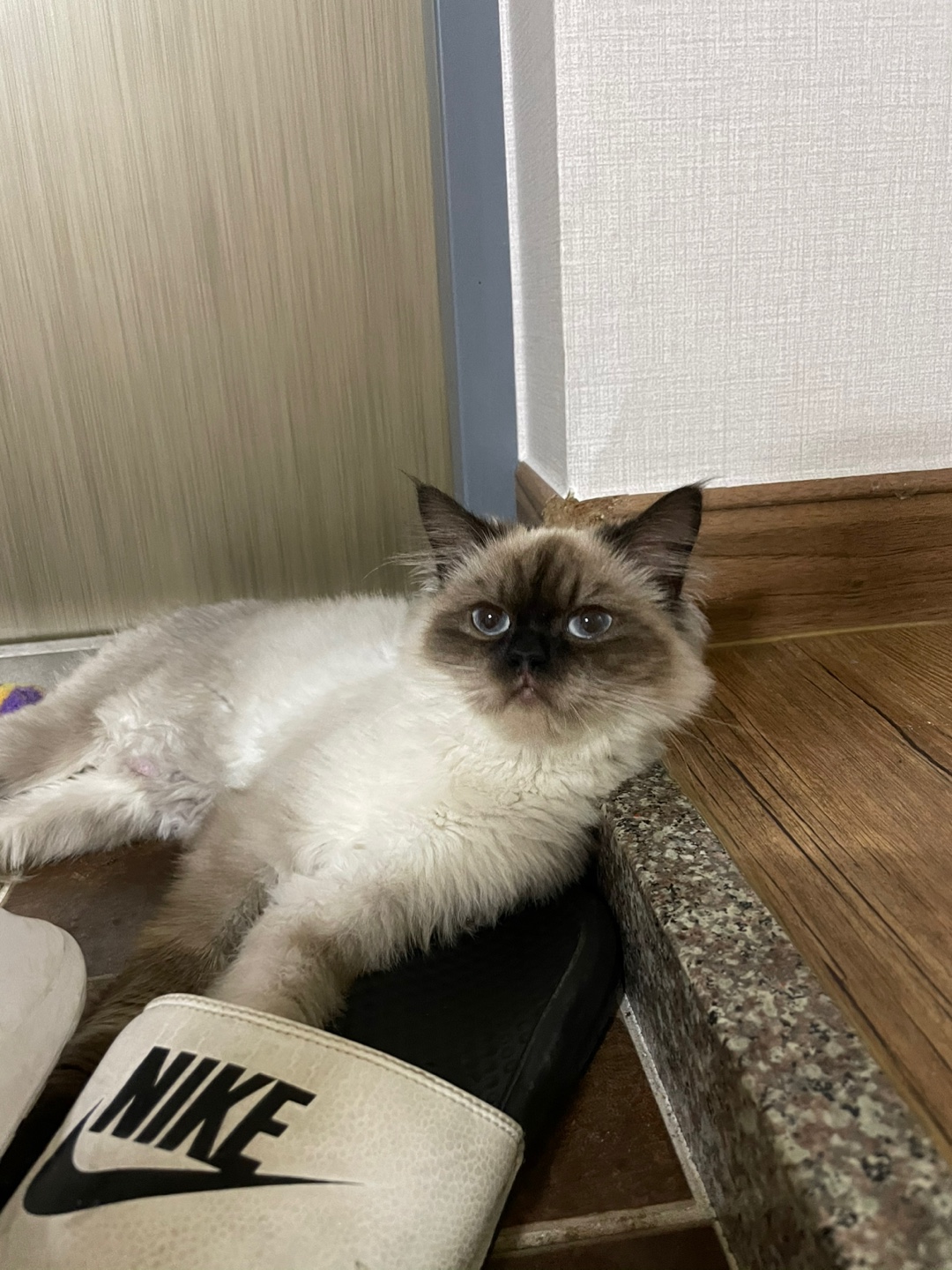 KakaoTalk_20250511_112702487_06.jpg