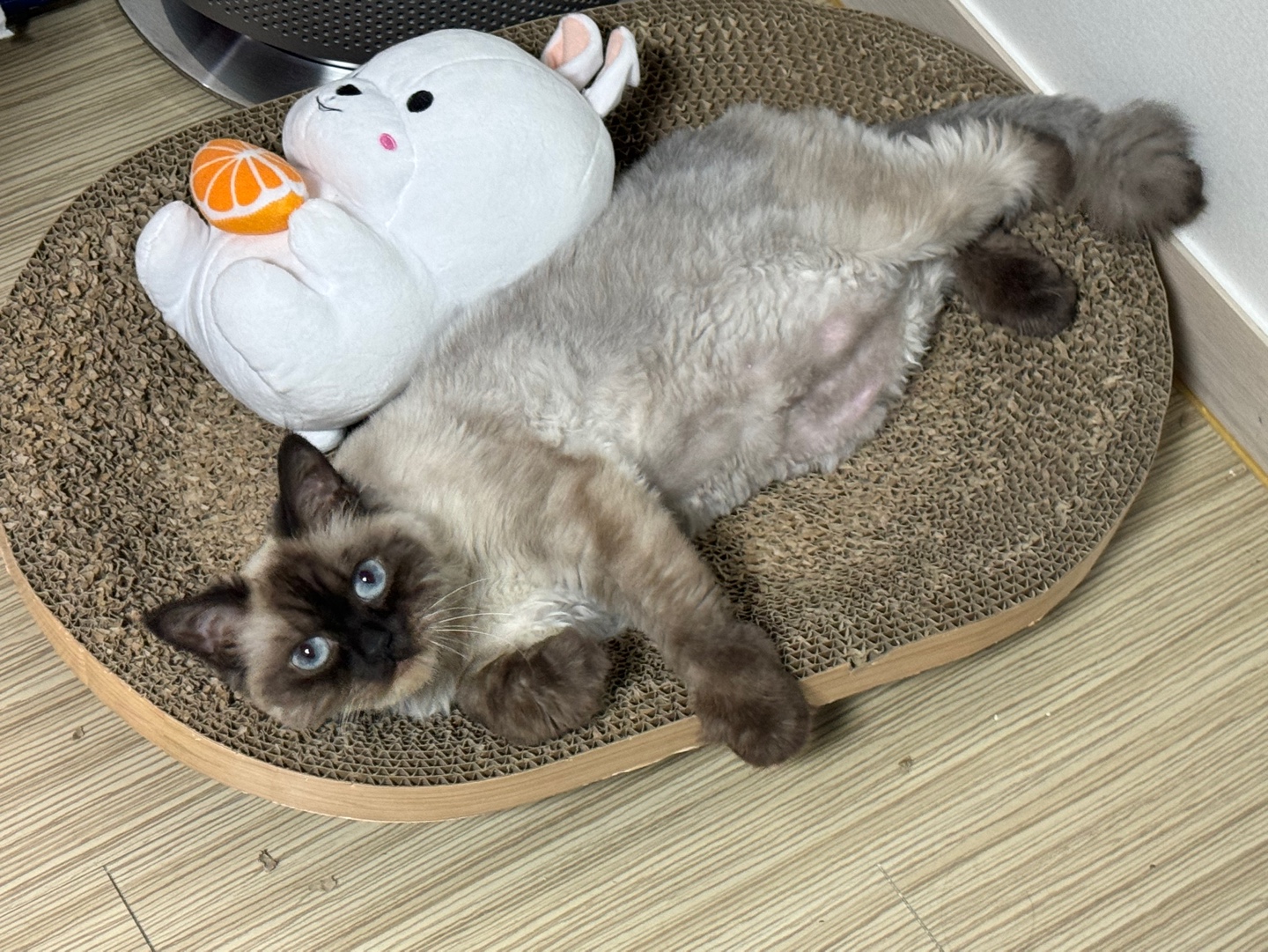 KakaoTalk_20250511_112702487_23.jpg