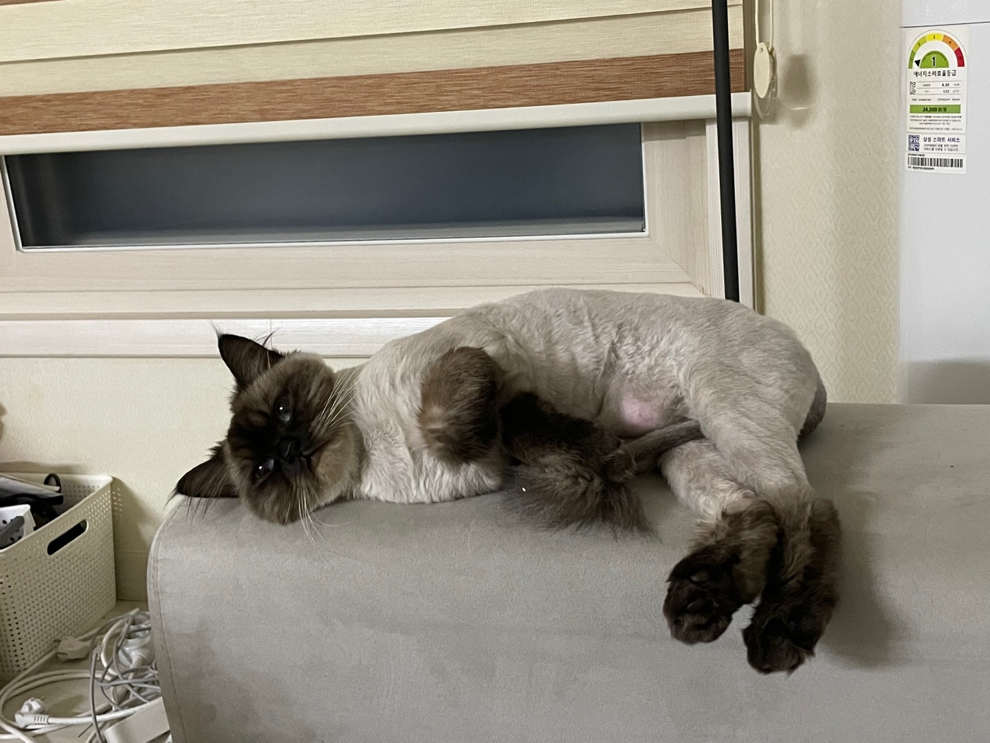 KakaoTalk_20250511_112702487_16.jpg