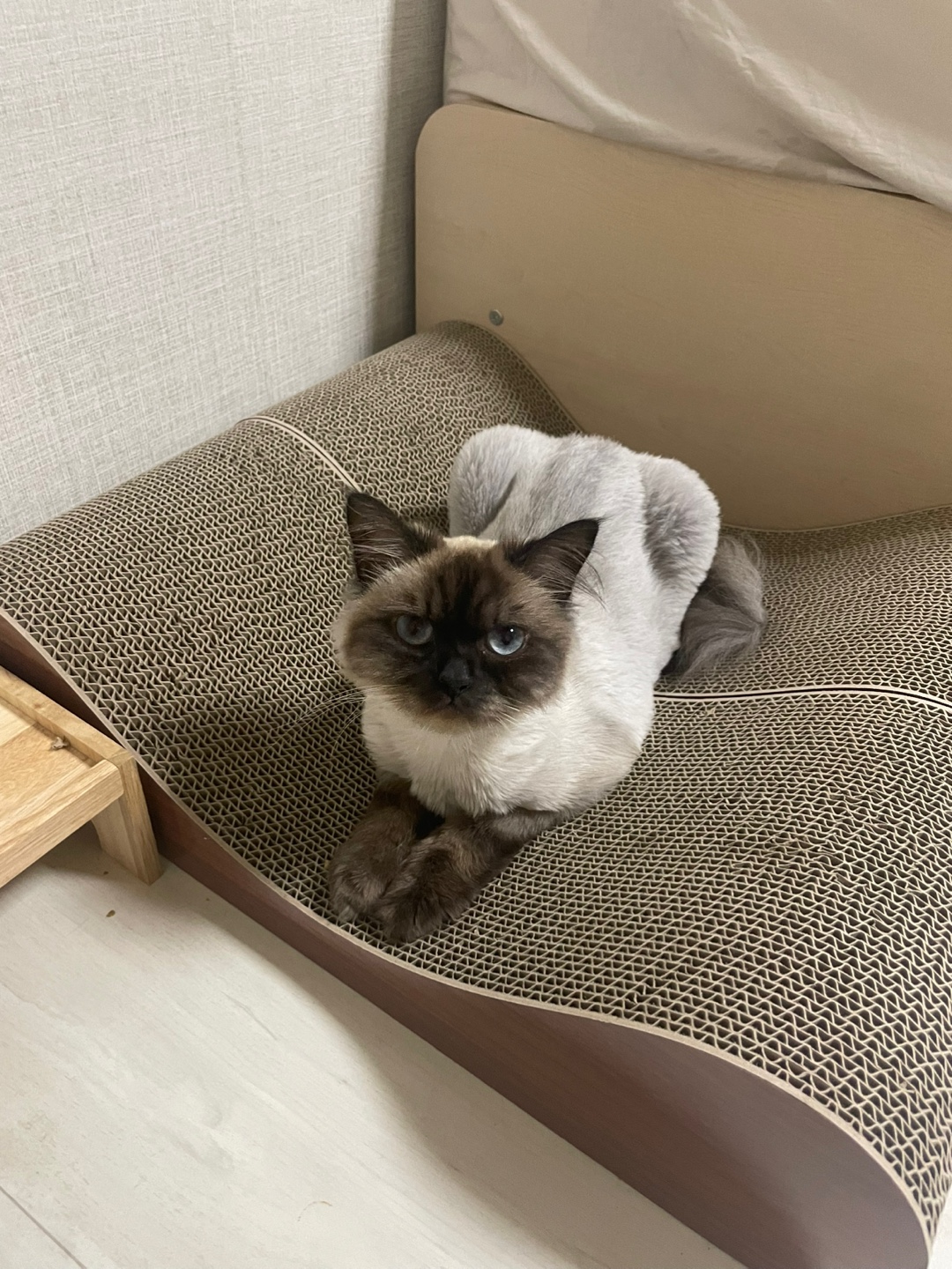 KakaoTalk_20250511_112702487_18.jpg