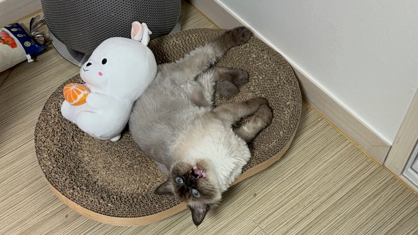 KakaoTalk_20250511_112702487_24.jpg