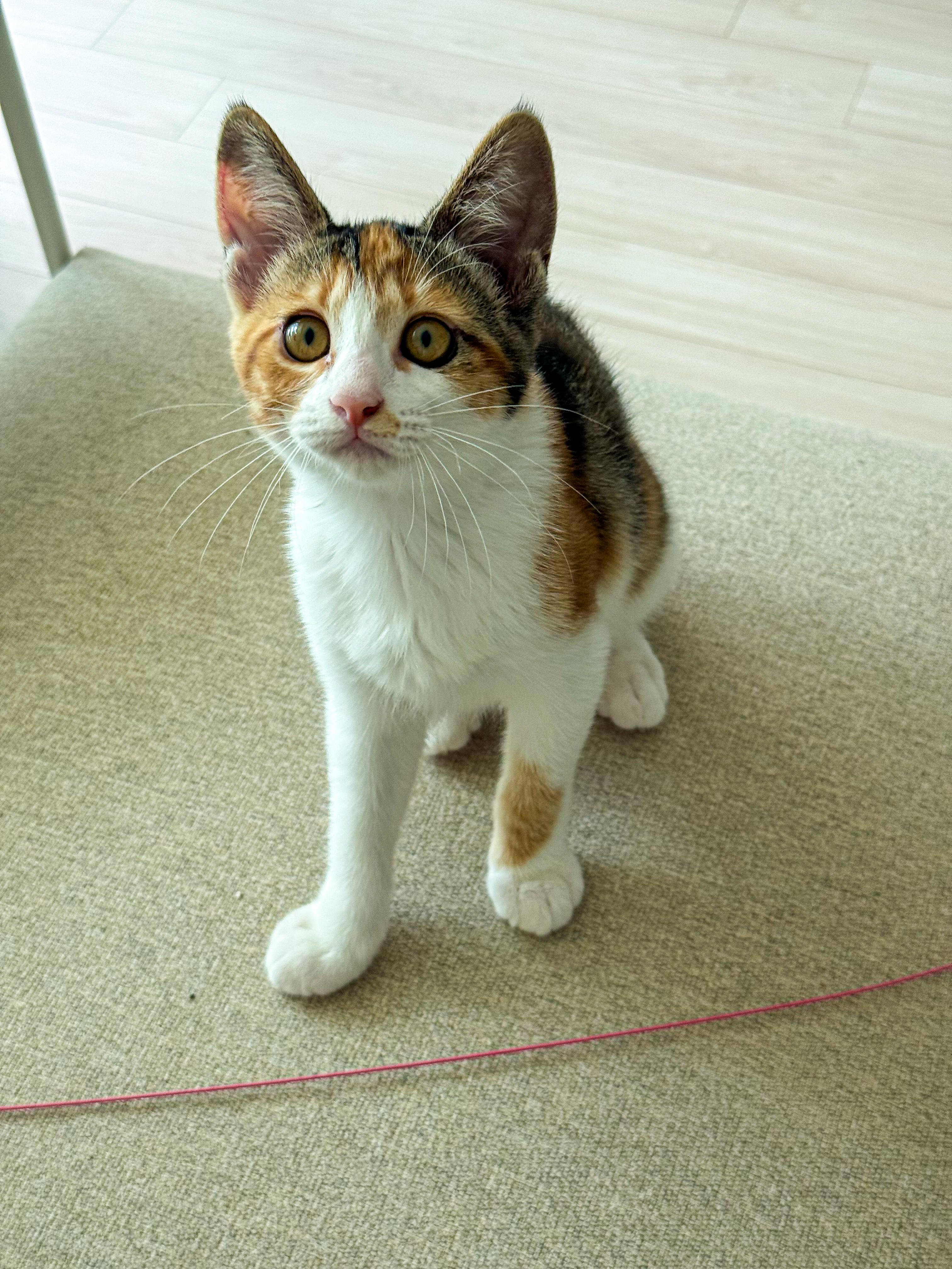 KakaoTalk_20250701_135502329_07-3.jpg