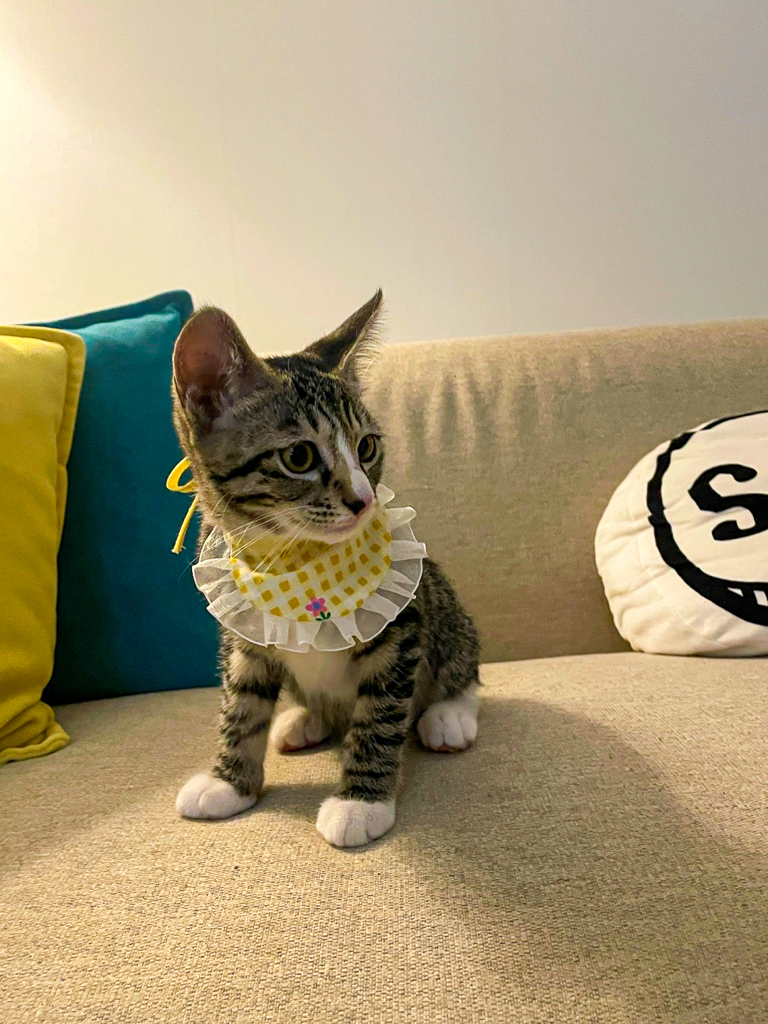 KakaoTalk_20250701_142600052_01-3.jpg
